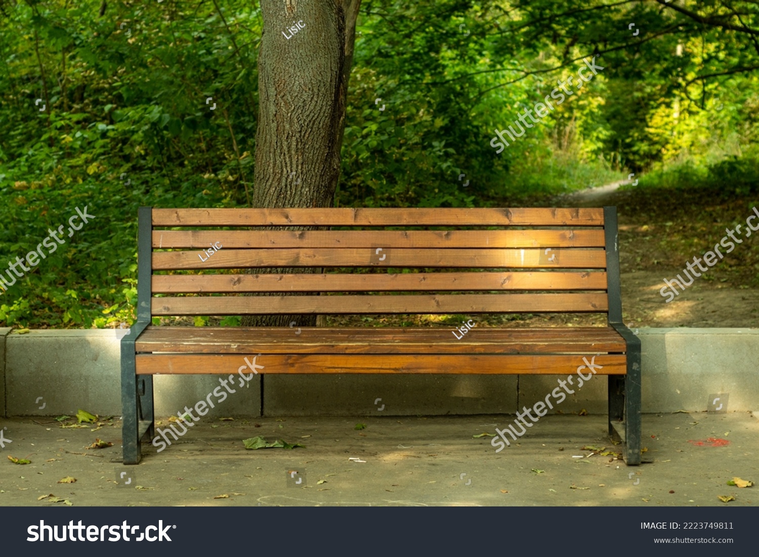 An empty wooden park bench at the edge of a path.  #2223749811