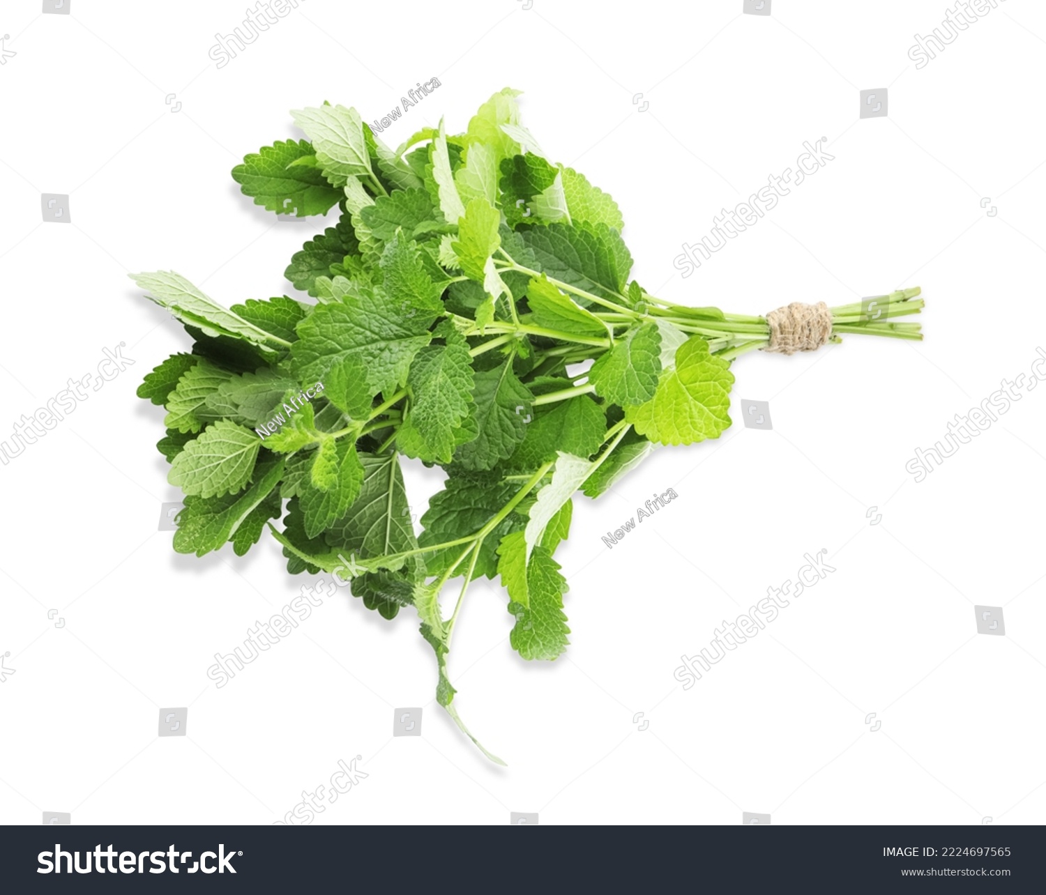 Bunch of fresh green lemon balm isolated on white, top view #2224697565