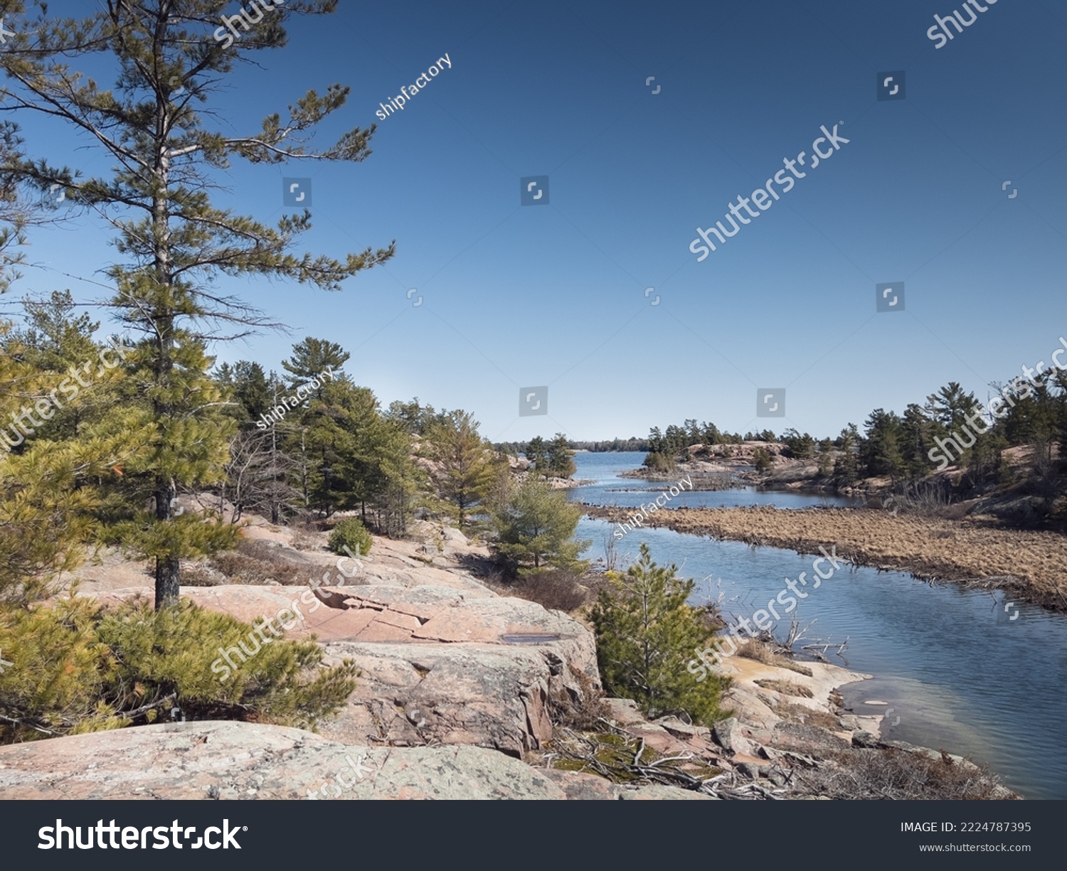 Scenic view of river flowing by trees and rock formations against clear blue sky in forest during sunny day #2224787395