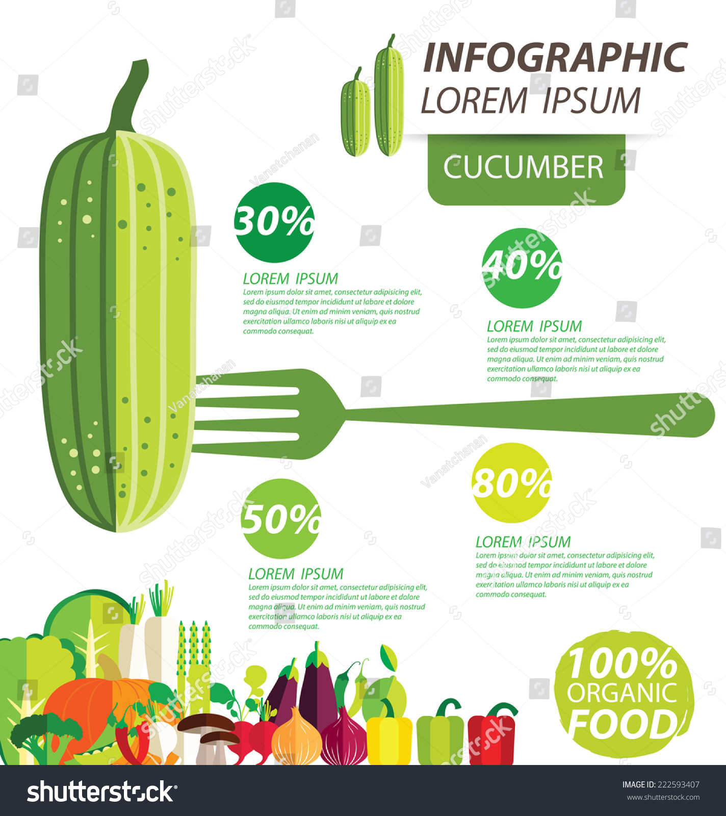 Cucumber , Infographics. Vegetables Vector - Royalty Free Stock Vector ...