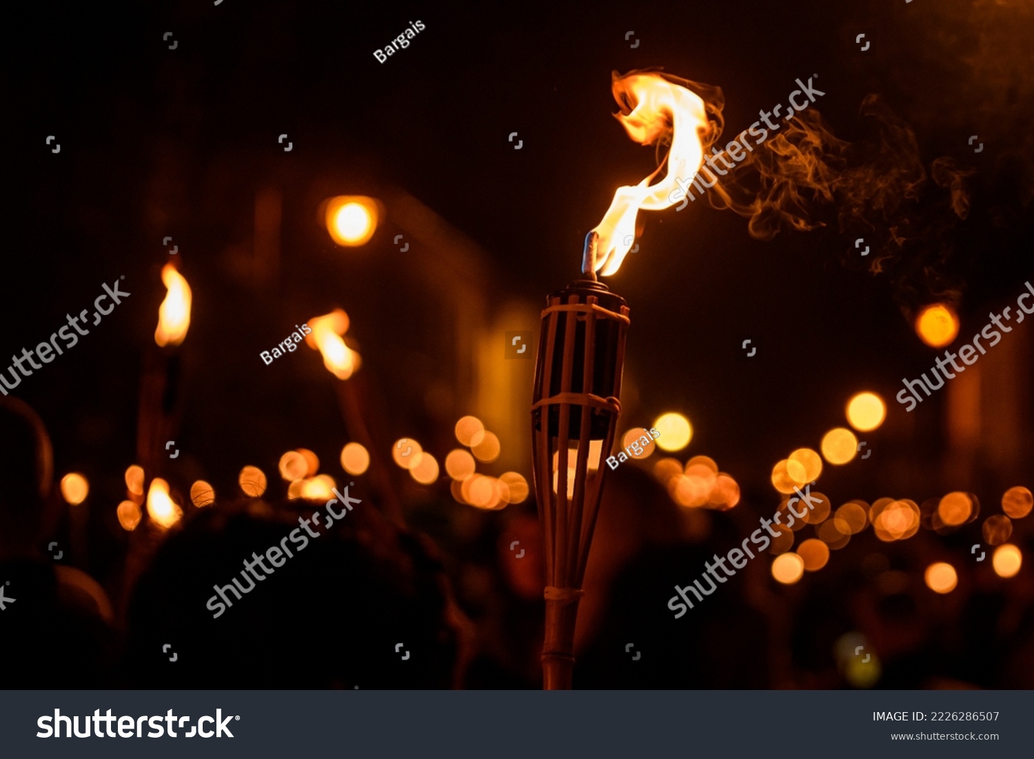 Burning Torch at Night in a procession. Bokeh. #2226286507