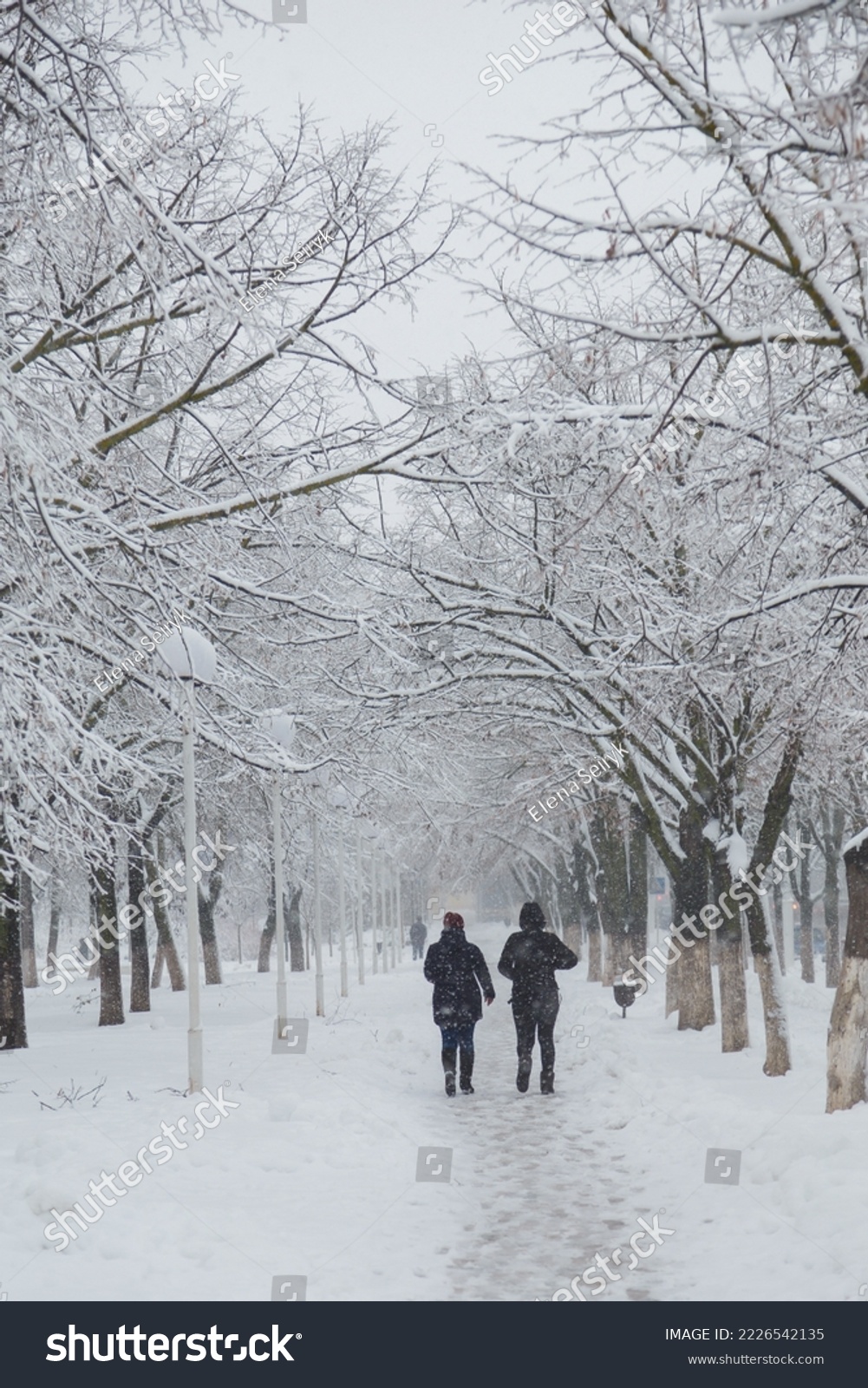 Couple back to camera walking in snowy park, trees covered with snow on winter background, vertical shot #2226542135