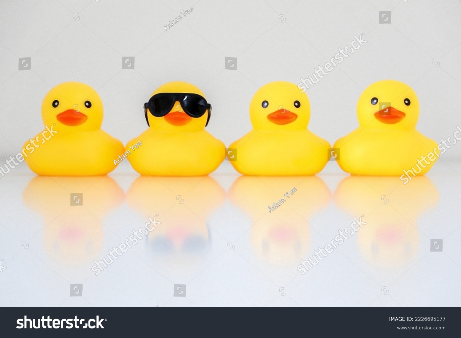 Four yellow rubber ducks in a row, one standing out wearing black sunglasses, with reflection, organisation concept, get one’s ducks in a row. White background. #2226695177