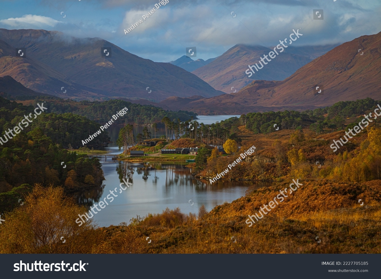 Glen Affric autumn colours in the Scottish Highlands #2227705185