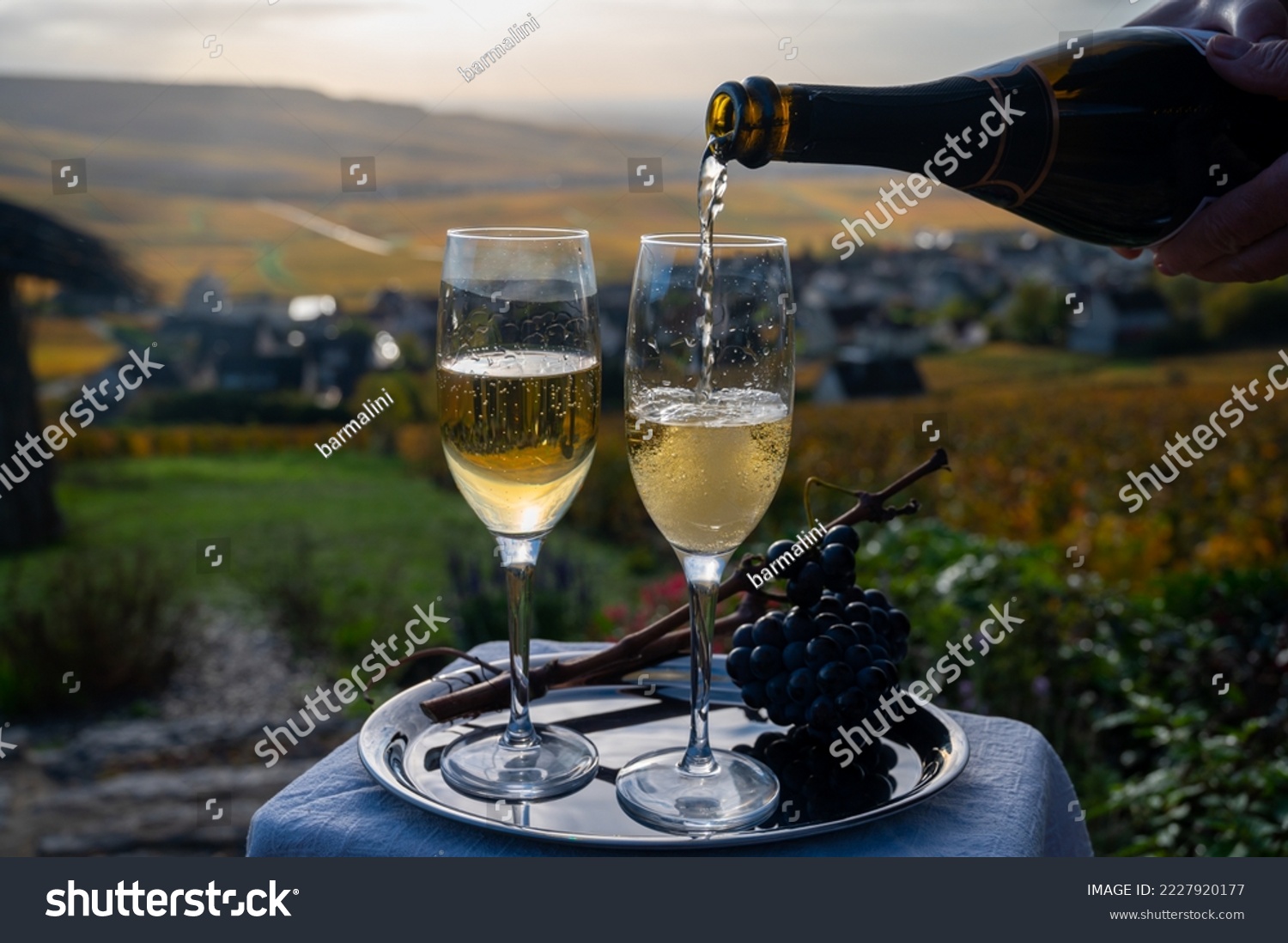 Tasting of premier cru sparkling white wine with bubbles champagne on outdoor terrace with view on colorful pinot meunier vineyards in Hautvillers in October, near Epernay, France. #2227920177