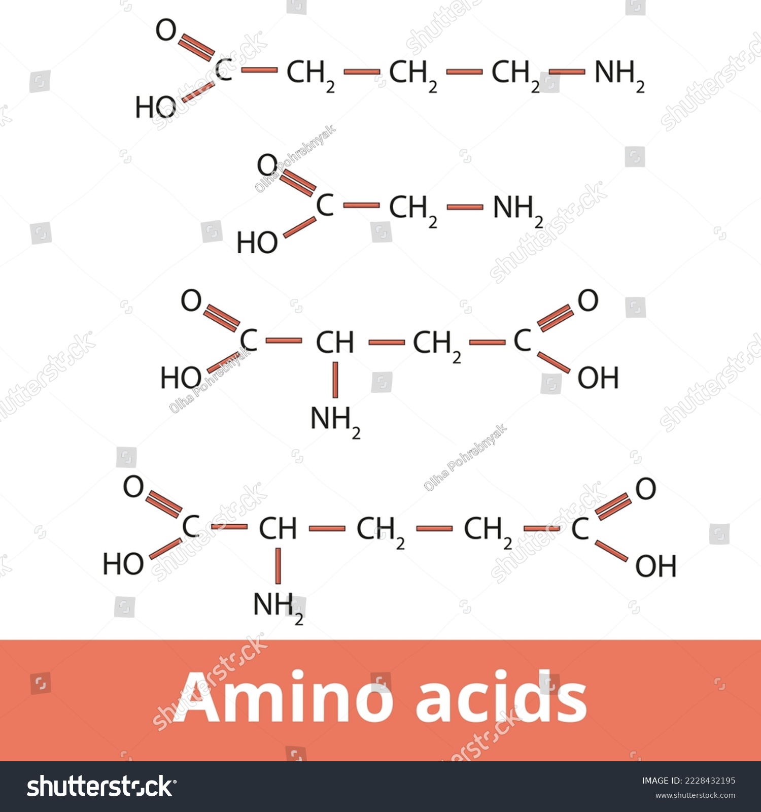 Amino acids. Chemical structure of one of the - Royalty Free Stock ...