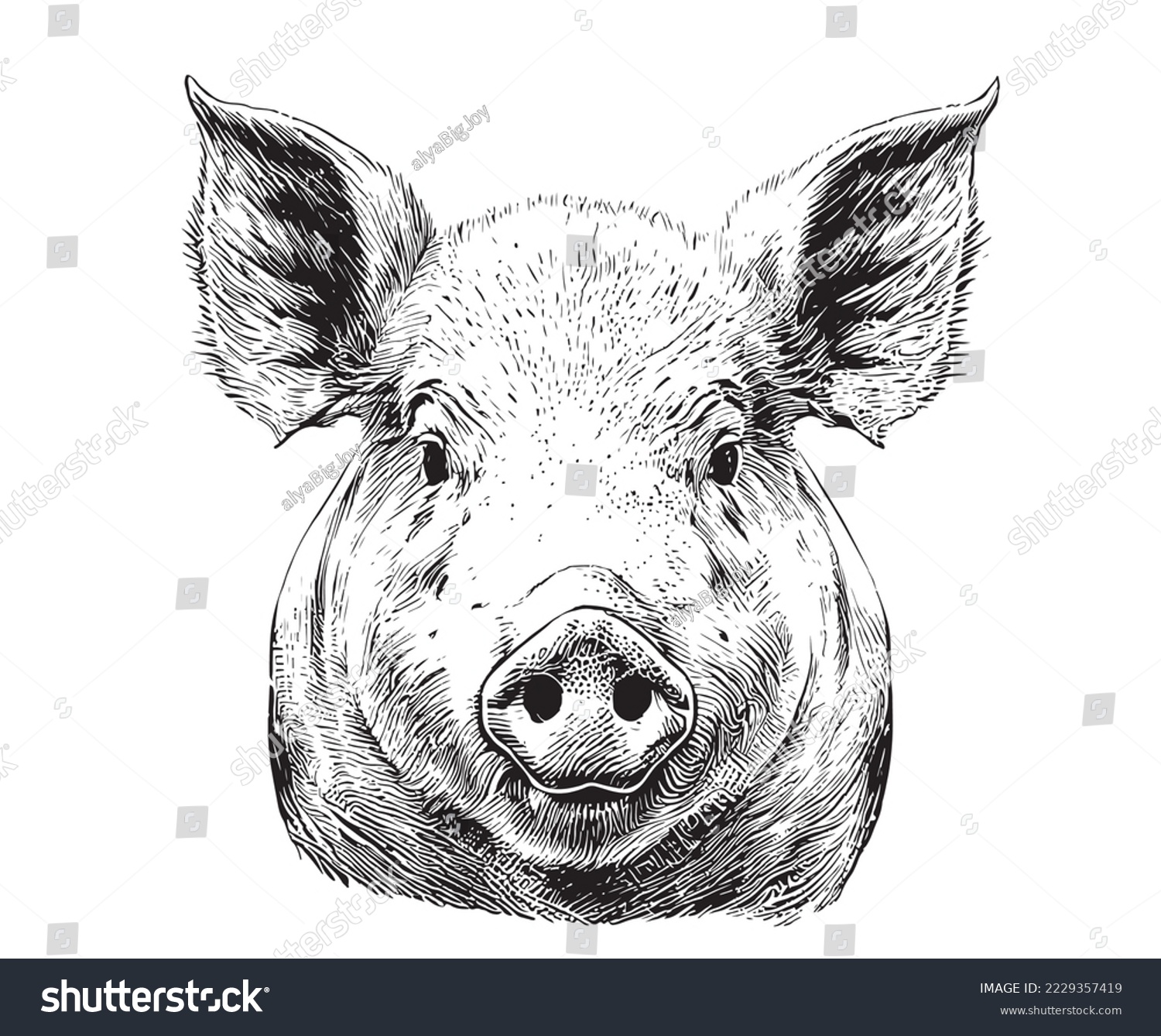 Piglet portrait hand drawn sketch Farming and livestock Vector illustration. #2229357419