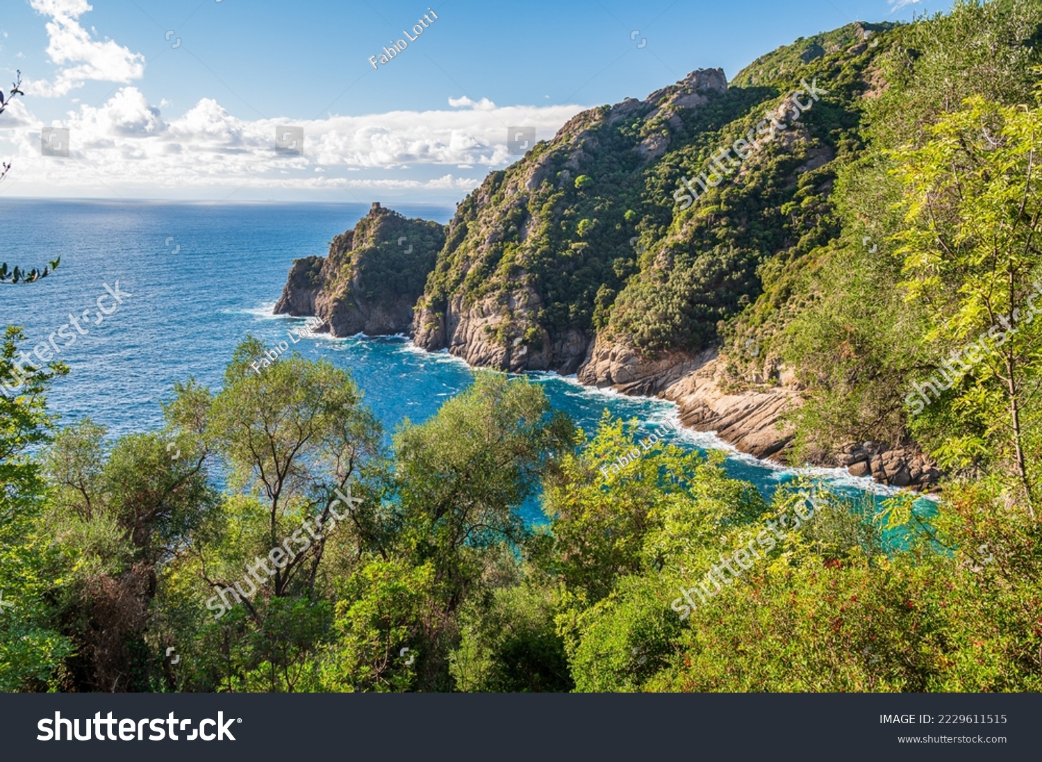 Promontory of the Gulf of San Fruttuoso, in the Maritime National Park of Portofino in Italy #2229611515