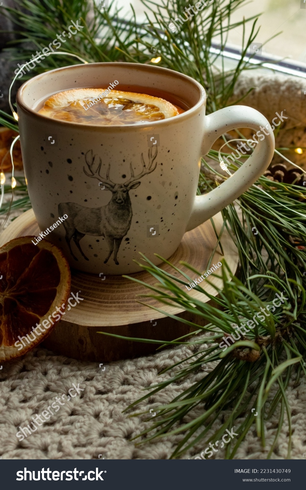 A cup of green tea, dried orange on a knitted, fabric rug, pine needles branches, New Year's atmosphere #2231430749