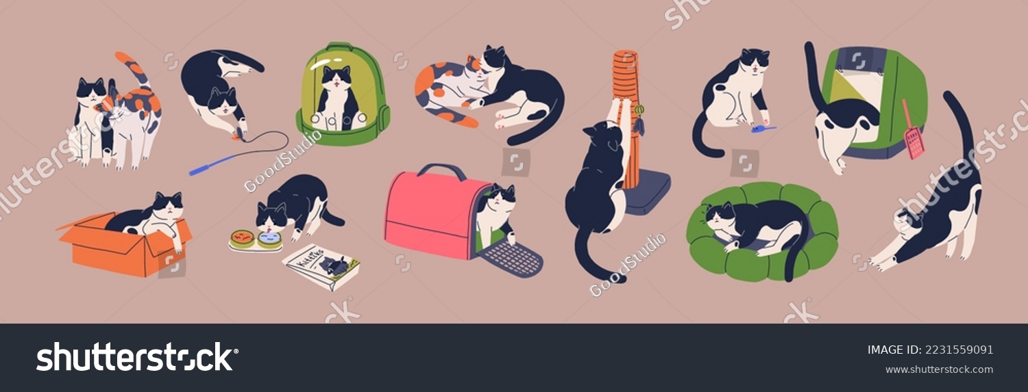 Cute cat and supplies. Funny kitty playing with toy, sleeping in cushion bed, in carrier, box, bag, at scratching post. Feline animals activities, life, stuff set. Isolated flat vector illustrations #2231559091