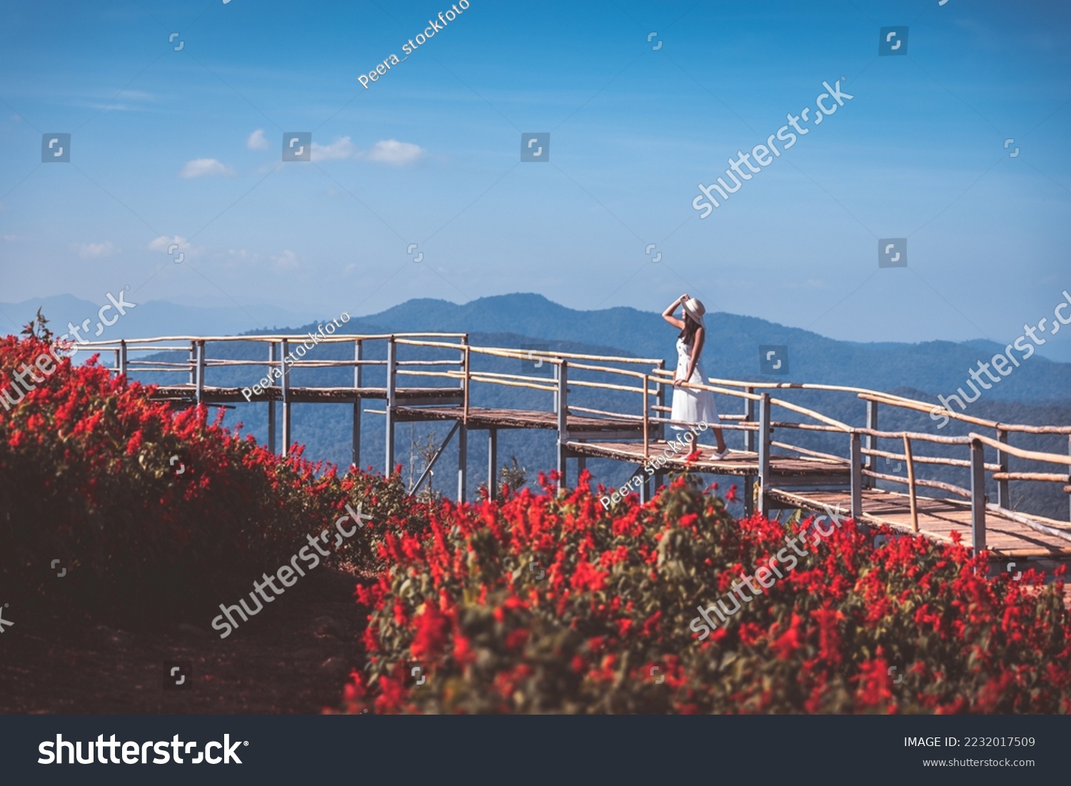 Winter travel relax vacation concept, Young happy traveler asian woman with dress sightseeing on red Celosia flowers field in garden at Mon Jam, Chiang Mai, Thailand #2232017509