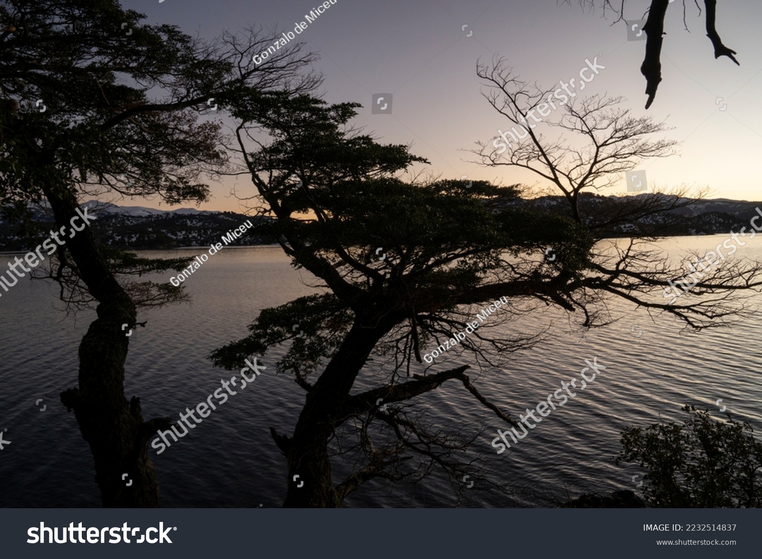 Magical view of the dark silhouette of the forest trees, calm lake and mountains, under a nightfall sky.  #2232514837