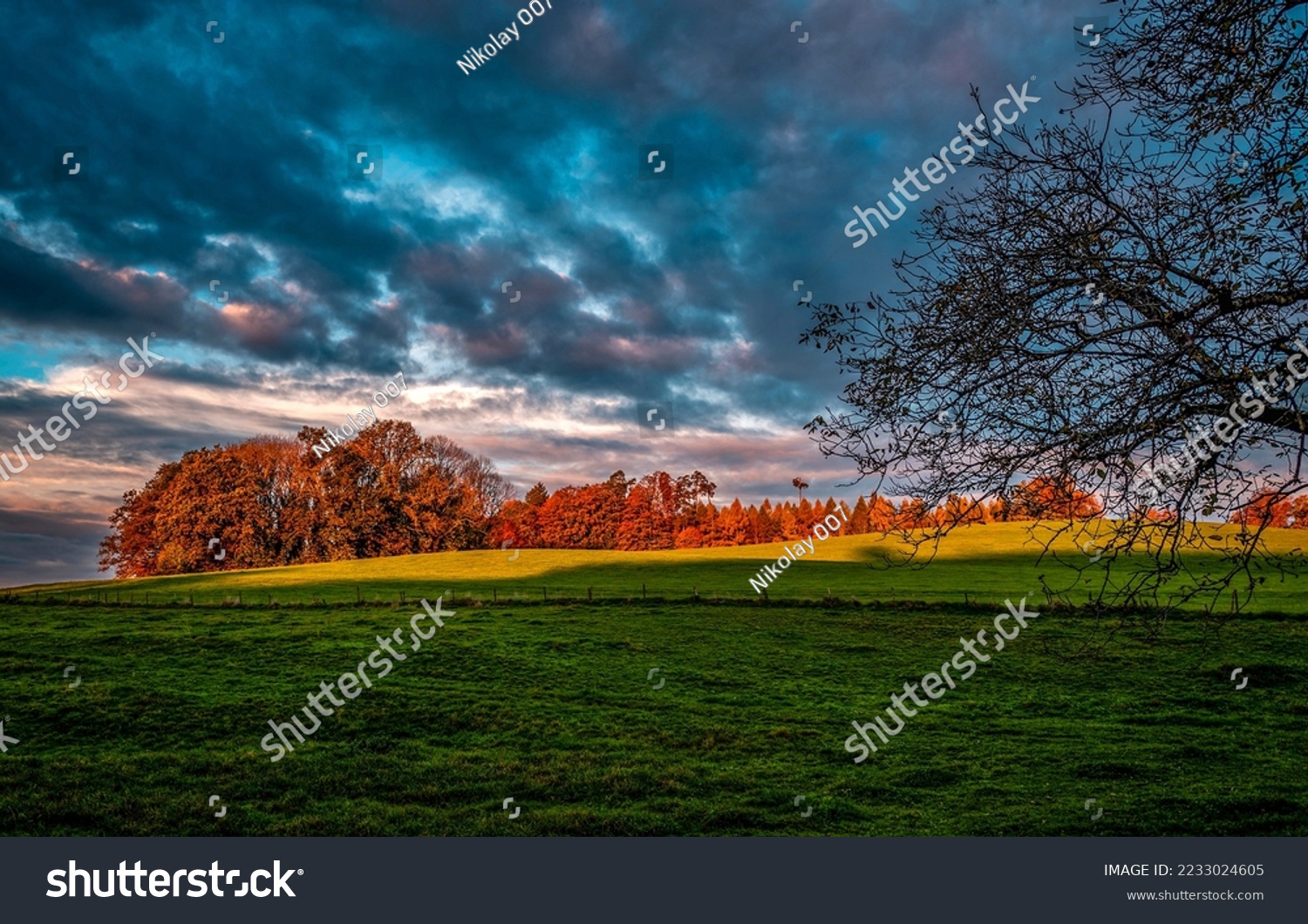 Forest meadow in the rays of autumn morning. Countryside in autumn. Autumn rural landscape. Farm field in autumn outdoors #2233024605