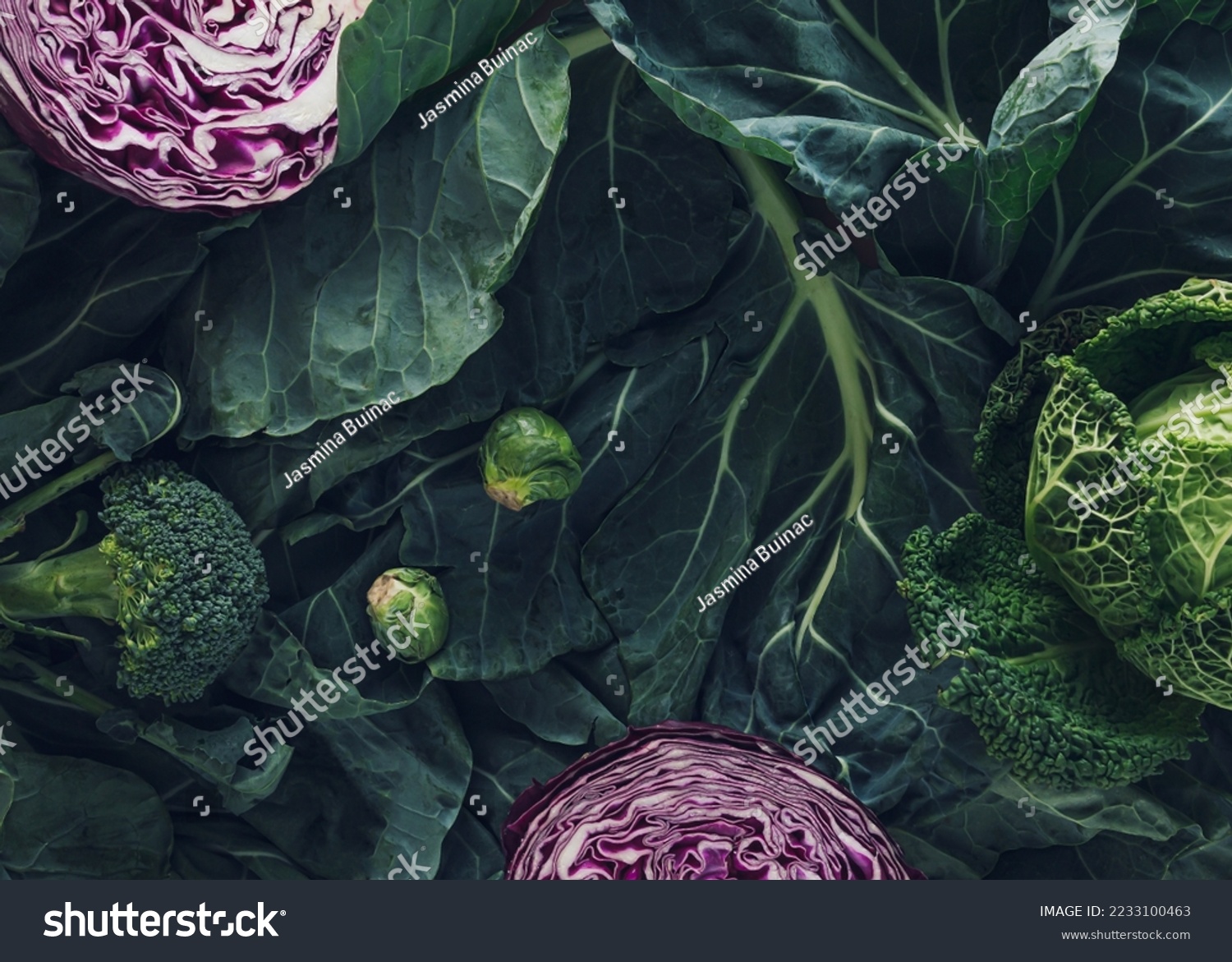 Winter vegetables high in antioxidants, minerals and vitamins: greens, broccoli, brussels sprouts, red cabbage and kale. Flat lay. Garden food concept. Agricultural products. Top view. Dark background #2233100463