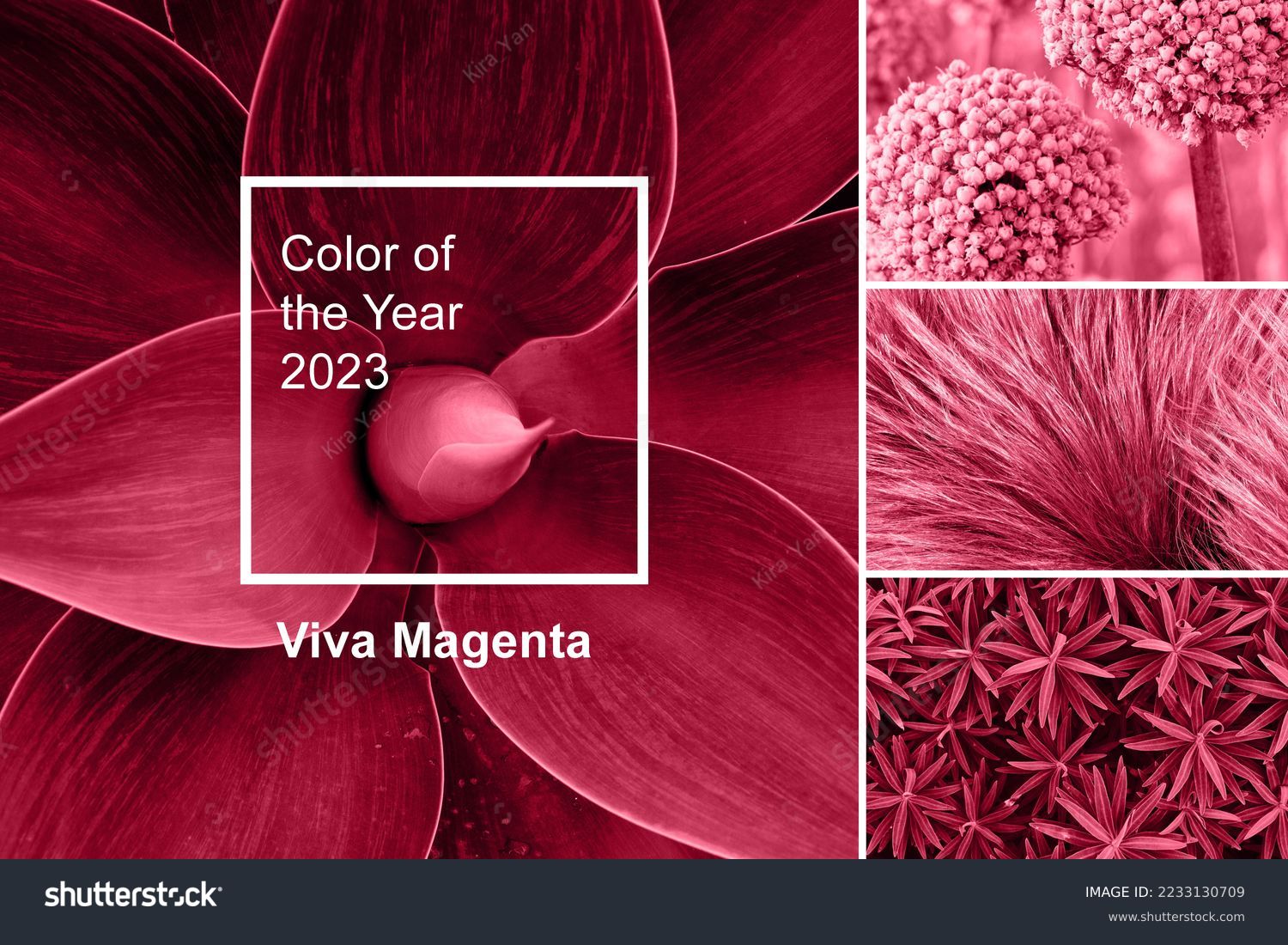 Trendy color of year 2023 - Viva Magenta. Fashion color palette sample. Abstract floral pattern swatch colors collage. Viva Magenta #2233130709