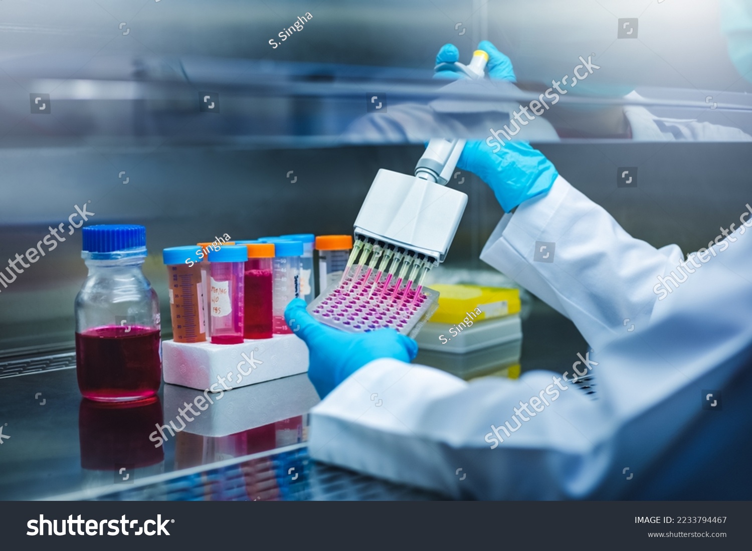 Scientist use multi pipette with sample preparation in the laboratory fume hood for bioassay of in vitro cells on  microplate, 96 well in the laboratory. Medicinal, Medicine, Biochemistry research. #2233794467