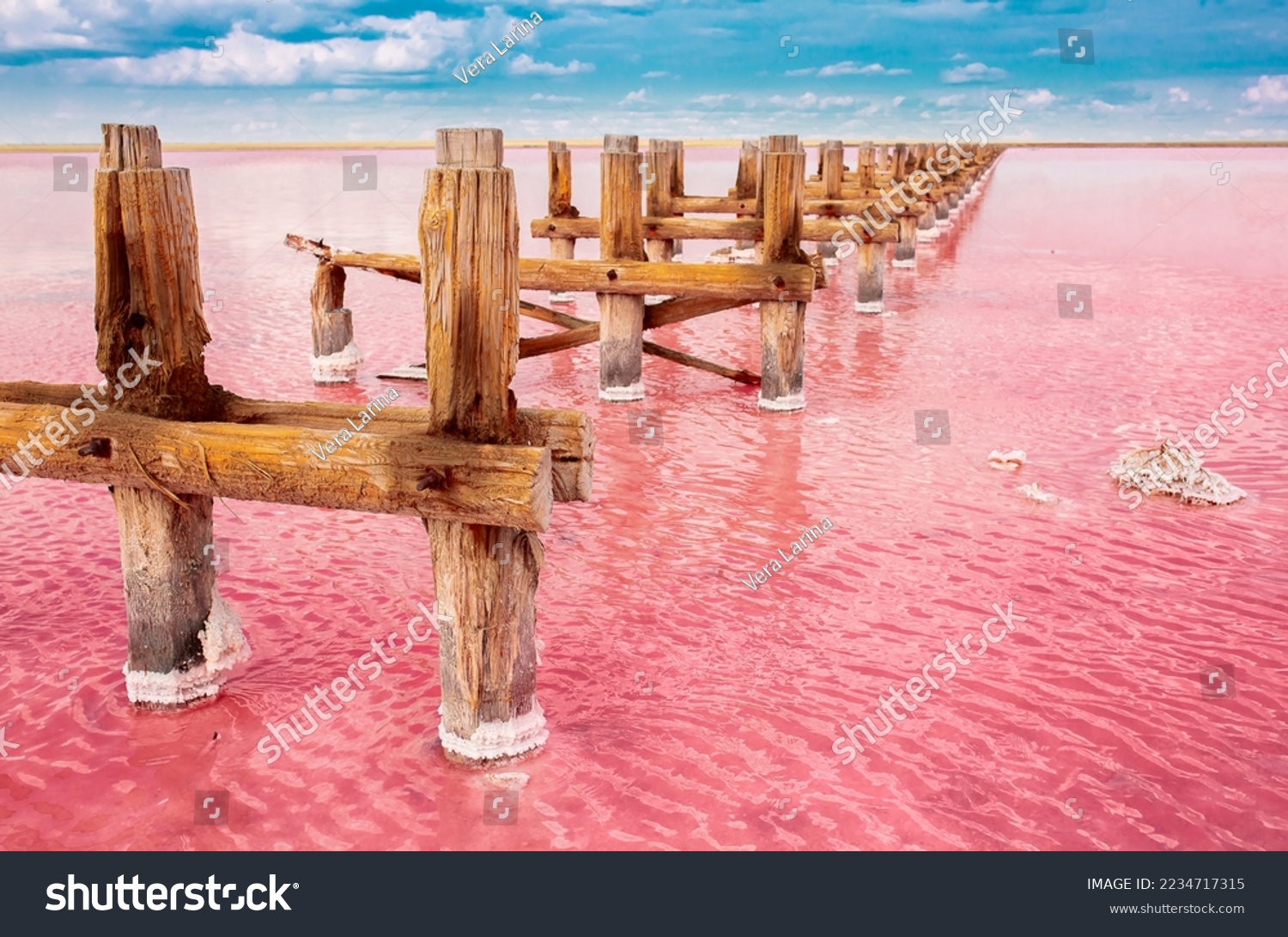 The pink lake is a beautiful landscape, unusual nature. A unique rare natural phenomenon. Salt lake with pink algae. Beautiful landscape. #2234717315