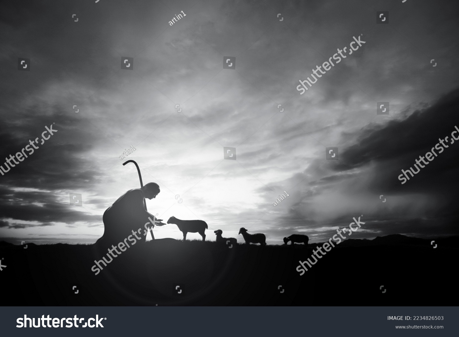 Shepherd Jesus Christ taking care of the lamb and a flock of sheep on the meadow with a brightly rising sunrise landscape
 #2234826503