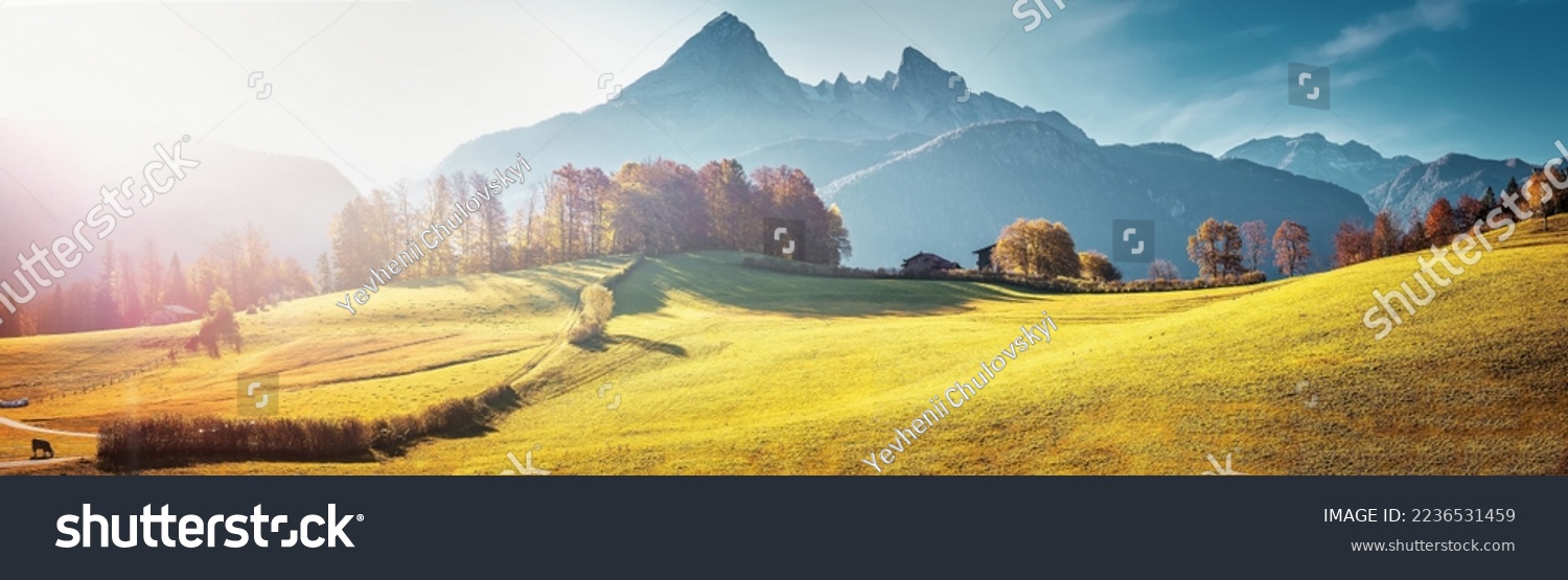 Scenic image of Swiss Alps. Panoramic view of idyllic mountain scenery in the Alps with fresh green meadows during sunset in autumn. grassy field and rolling hills. rural scenery. rich harvest concept #2236531459
