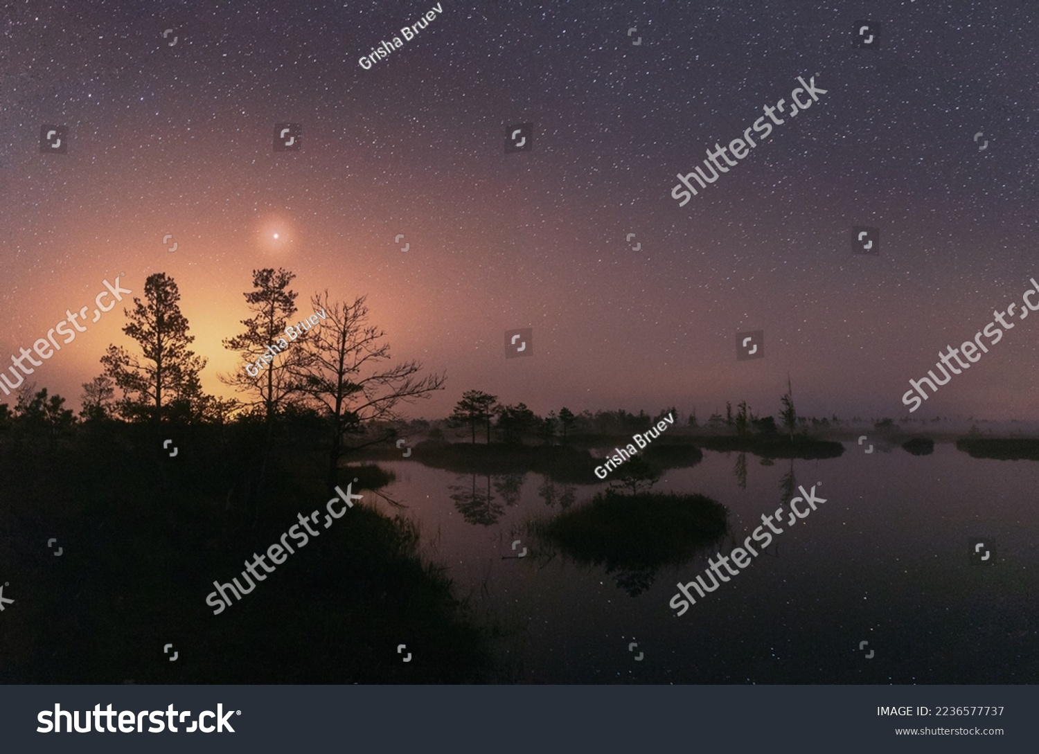 Amazing Glowing Stars Effects Above Landscape. Milky Way Galaxy In Night Starry Sky Above Rural Landscape In Summer Season. Real Colorful Night Stars Above Swamp. Natural Starry Sky Above Landscape. #2236577737