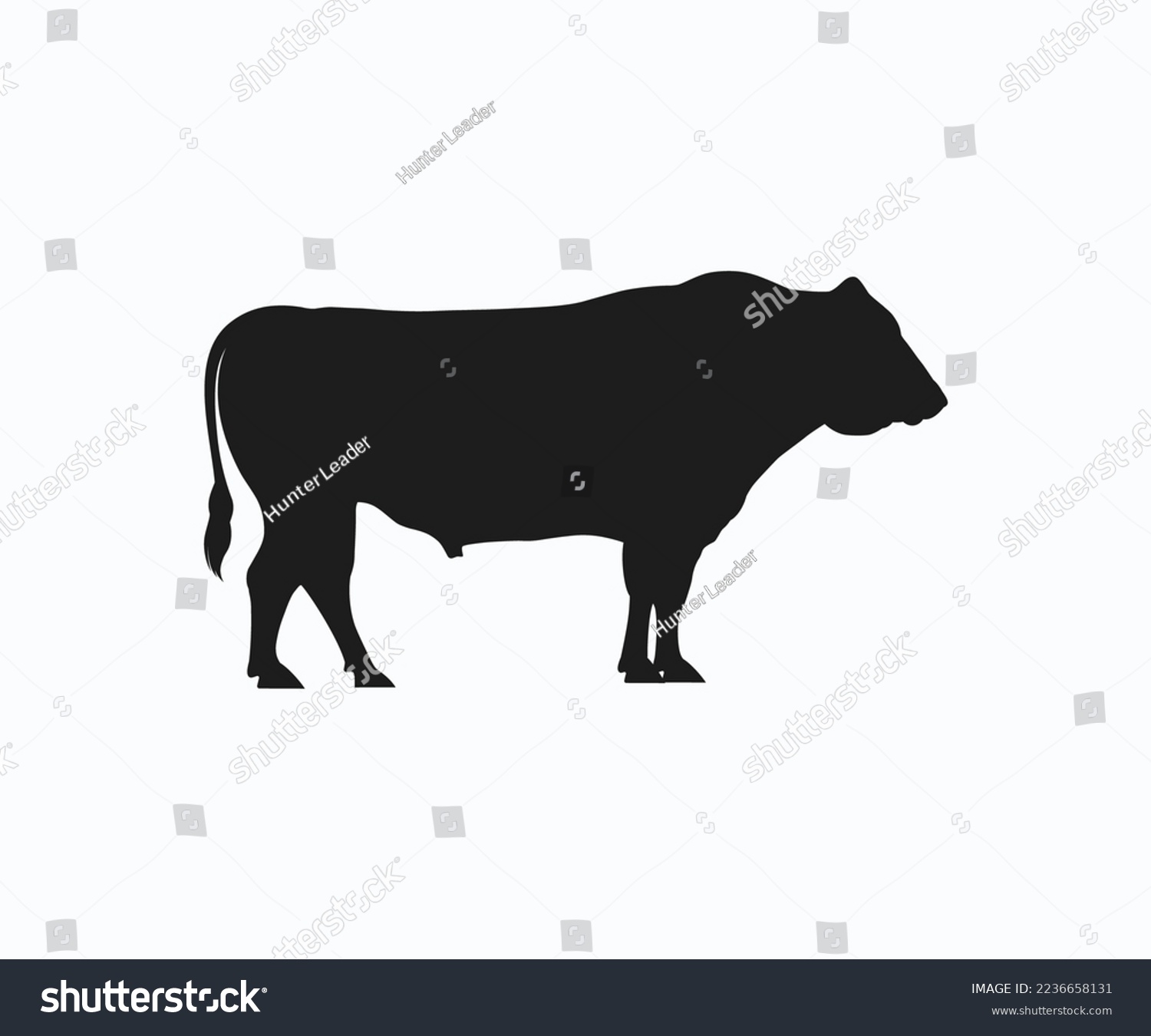 Wagyu cow vector, wagyu bull icon vector - Royalty Free Stock Vector ...