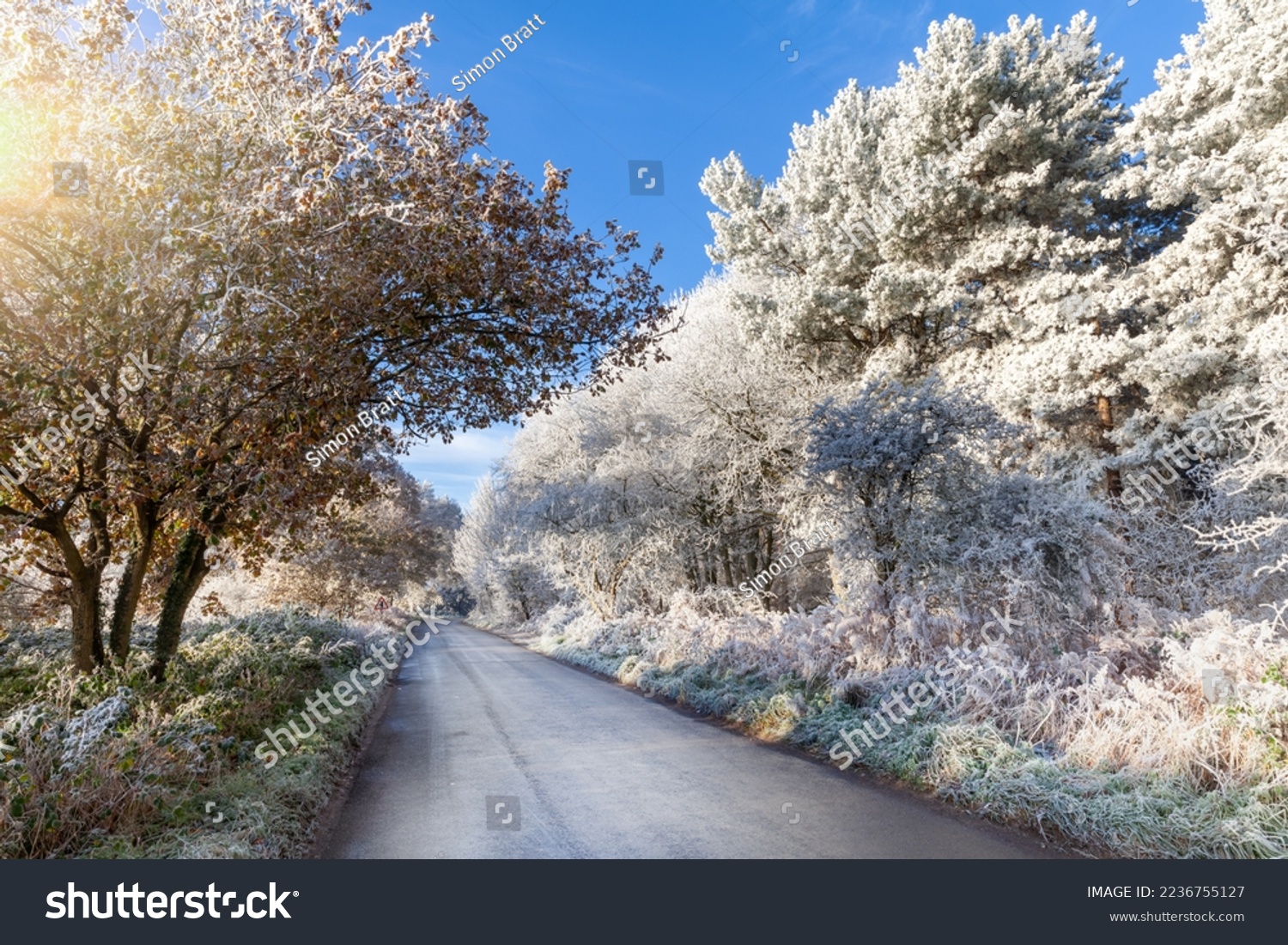 Winter tree frost on UK rural roads. Icy weather with clear blue skies in December #2236755127