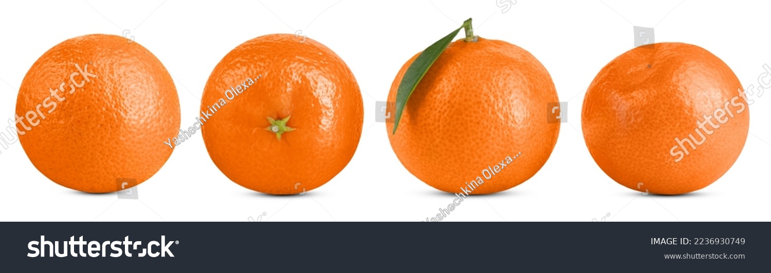 Set of four tangerines isolated on a white background with shadow. #2236930749