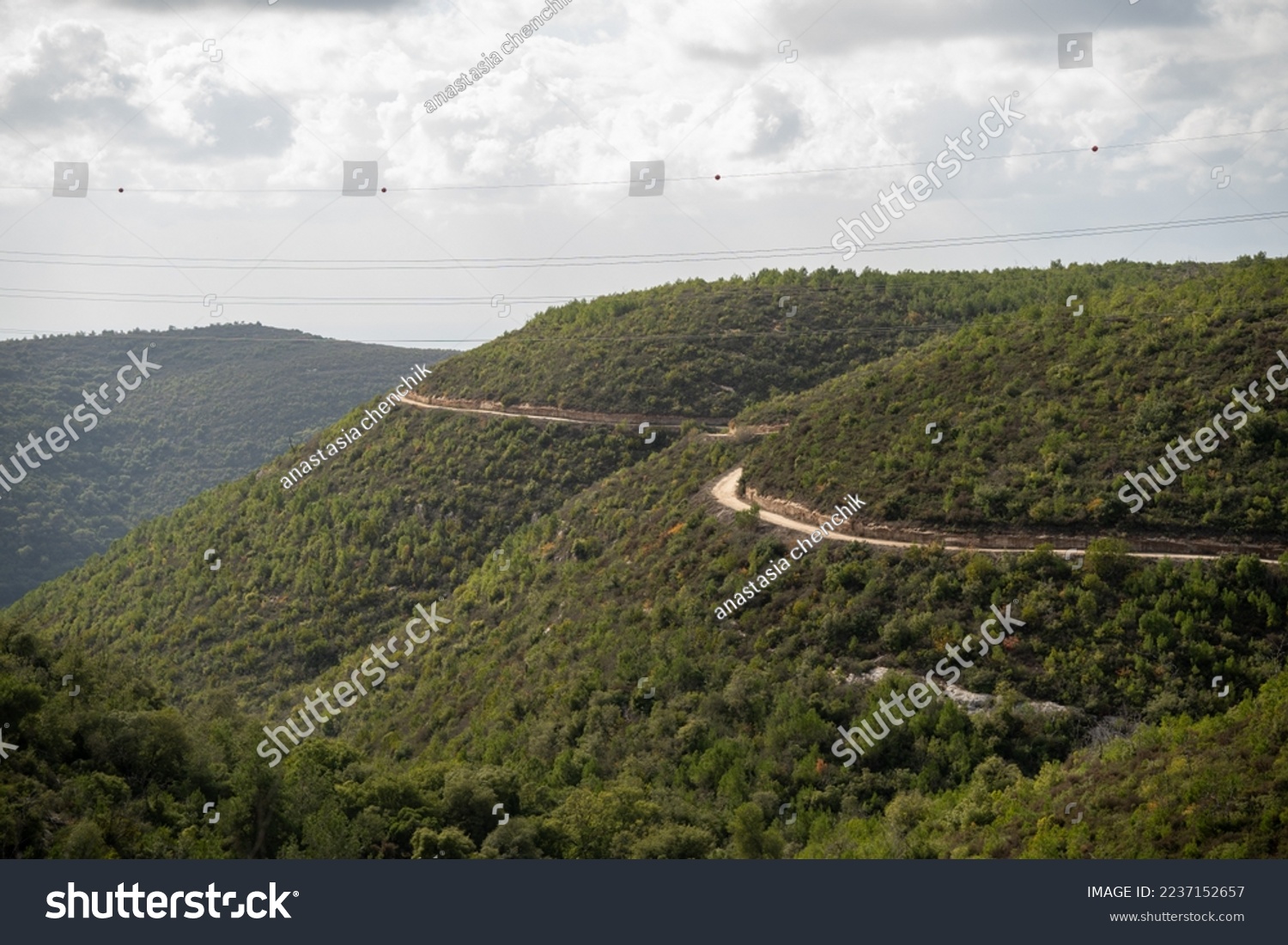 Mount Carmel National Park. view of Carmel forest Israel. A path in the forest. #2237152657