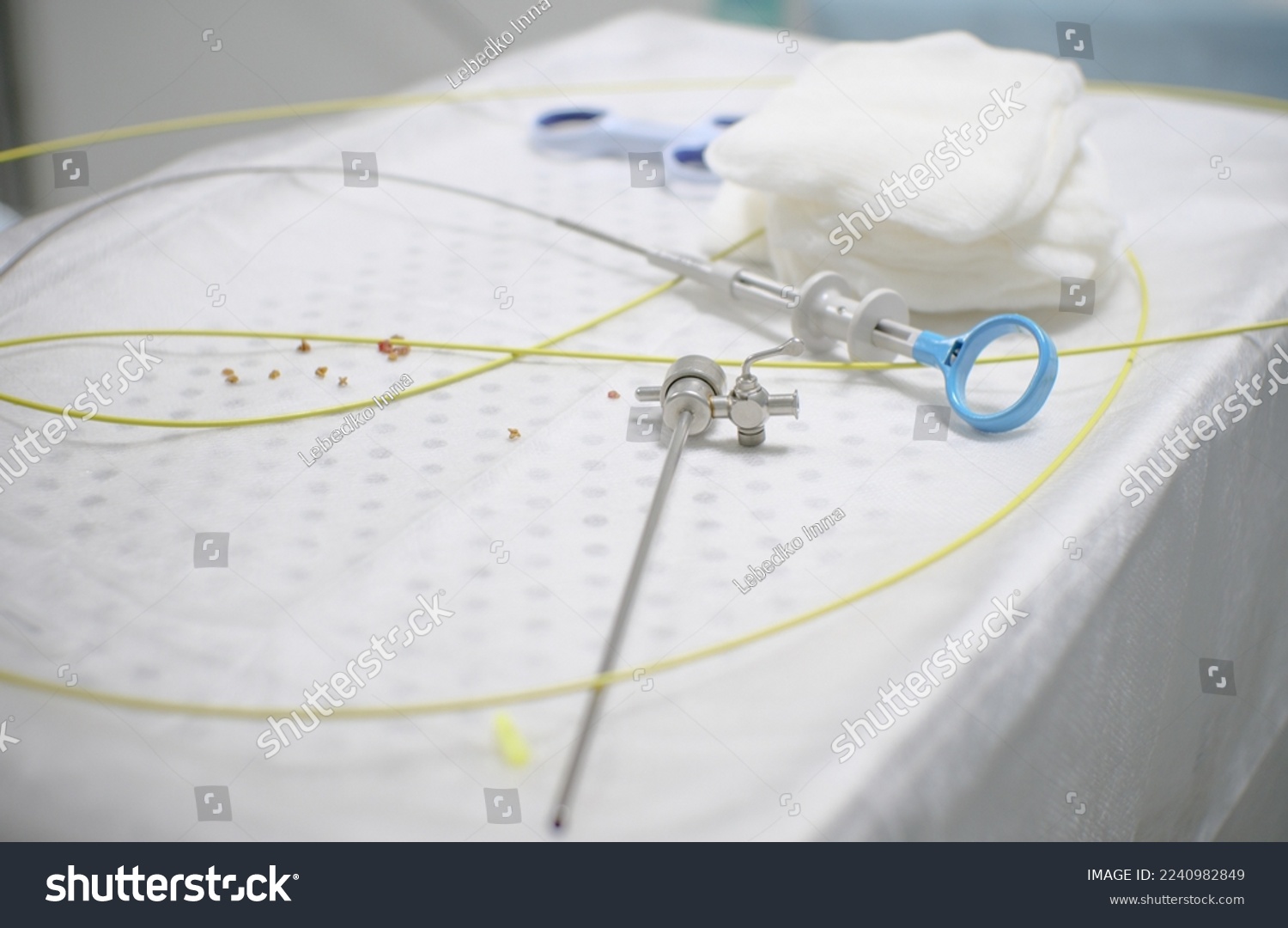 In the operating room, there is an instrument for cystoscopy and stones from the bladder and urethra on the table. The veterinarian spent a pet with urolithiasis extracting stones using an endoscope. #2240982849