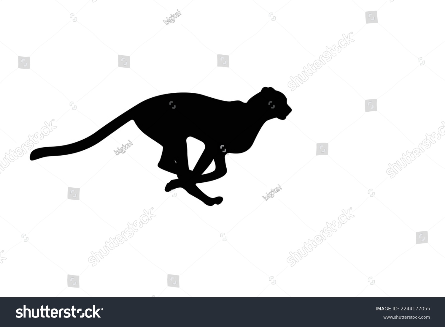Running cheetah silhouette on white background Cheetah vector, wild cat illustration #2244177055