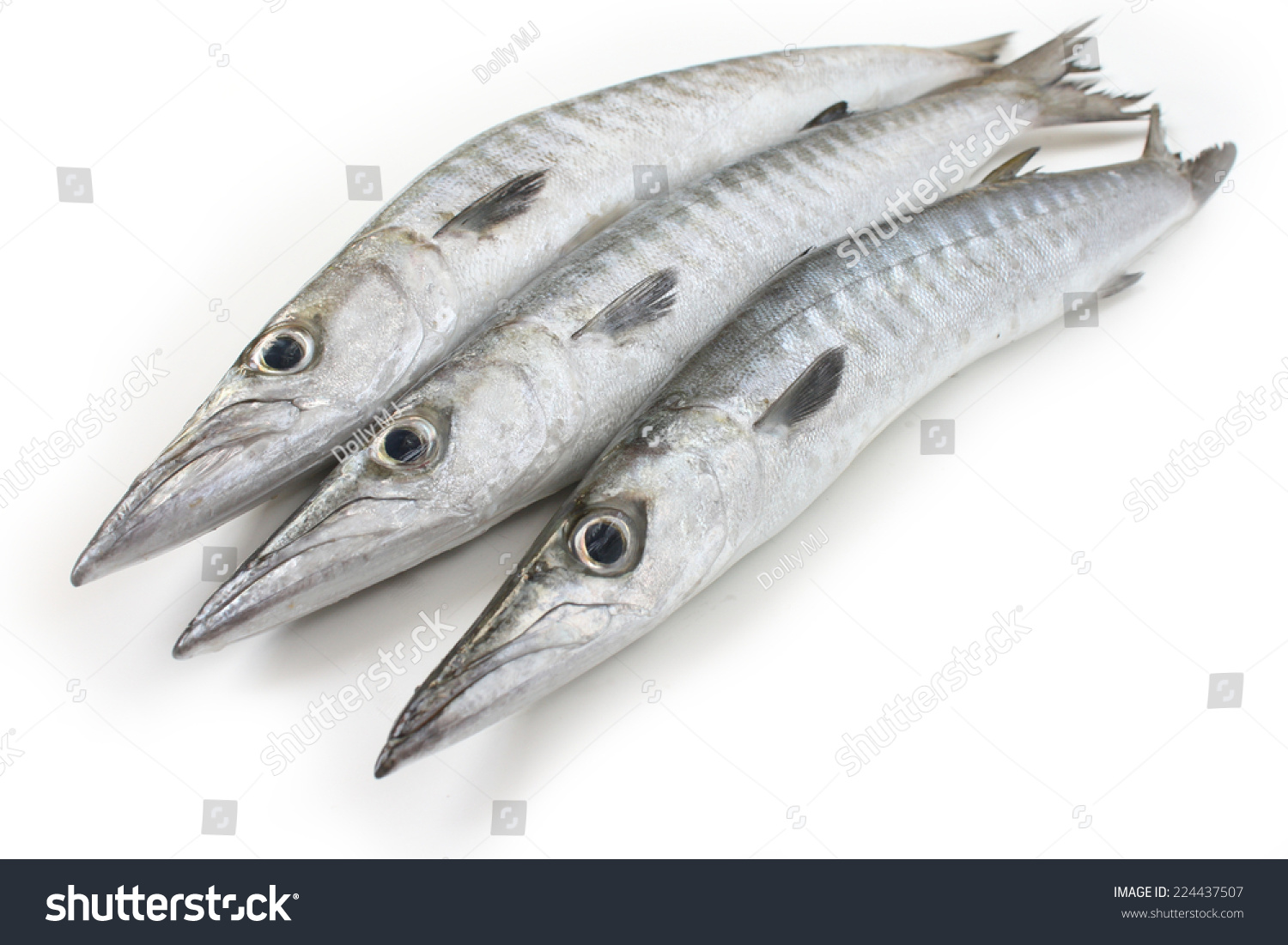 Fresh barracuda fish for cooking #224437507