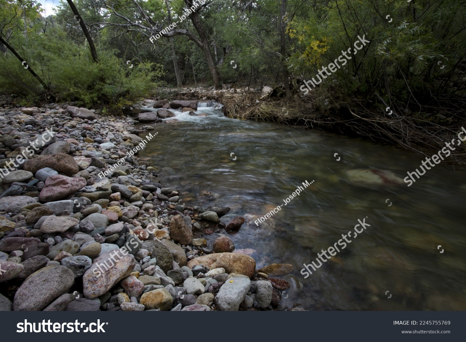 Creek water flows along rocky bank of Idlewilde Campground in Cave Creek Canyon, Coronado National Forest, Arizona, United States #2245755769