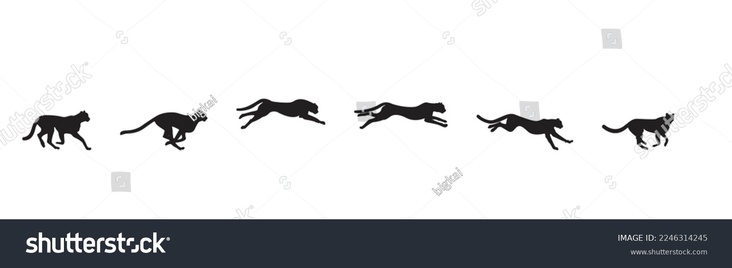 Cheetah collection. Vector illustration of cheetah in pose actions: lies, sitting, standing, walking and running. Isolated on white vector #2246314245