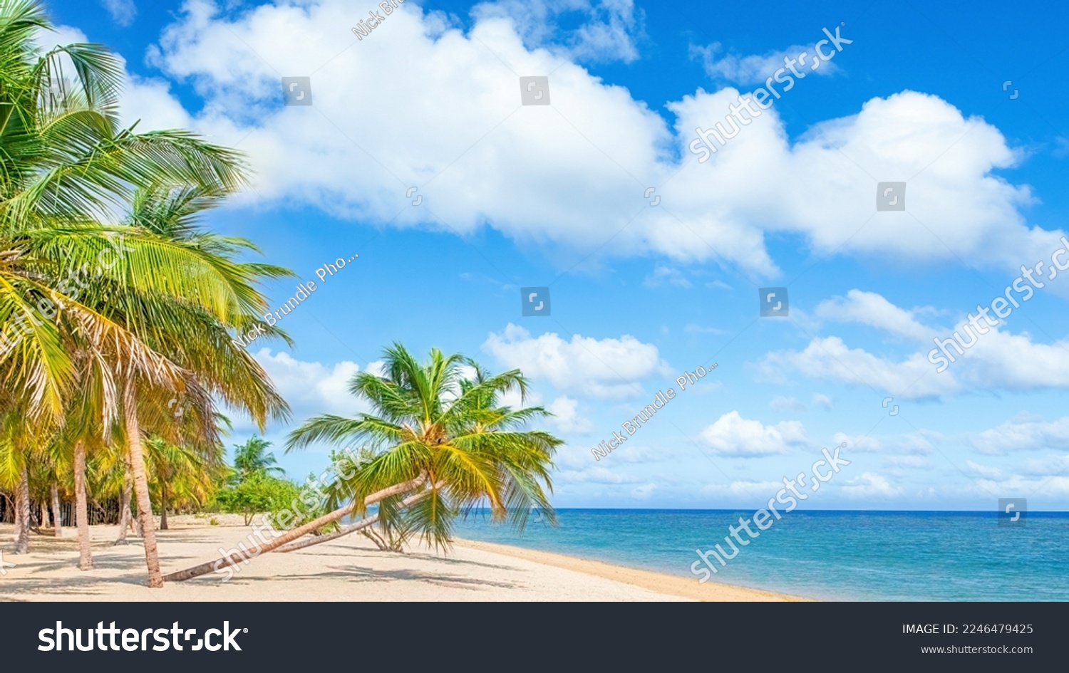 A tropical paradise idyllic beach on Sri Lanka's south coast at Mirissa. #2246479425