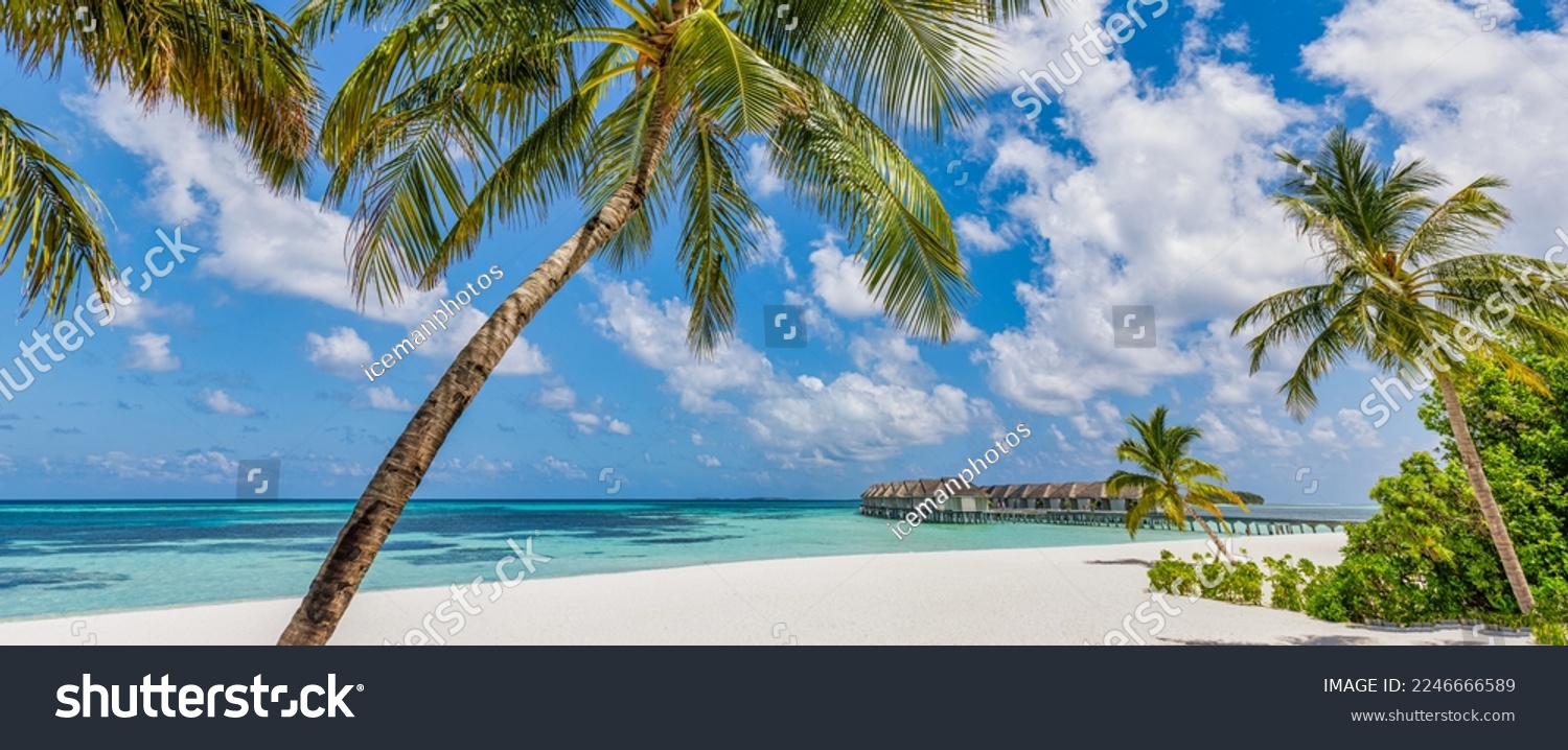 Paradise island beach. Tropical landscape of tranquil summer sea sand sky palm trees. Luxury travel vacation destination. Exotic beach landscape. Amazing nature, relax, freedom nature concept Maldives #2246666589
