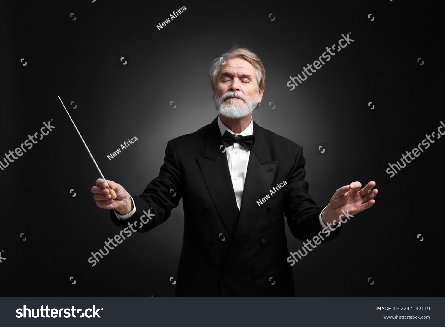 Professional conductor with baton on black background #2247142119