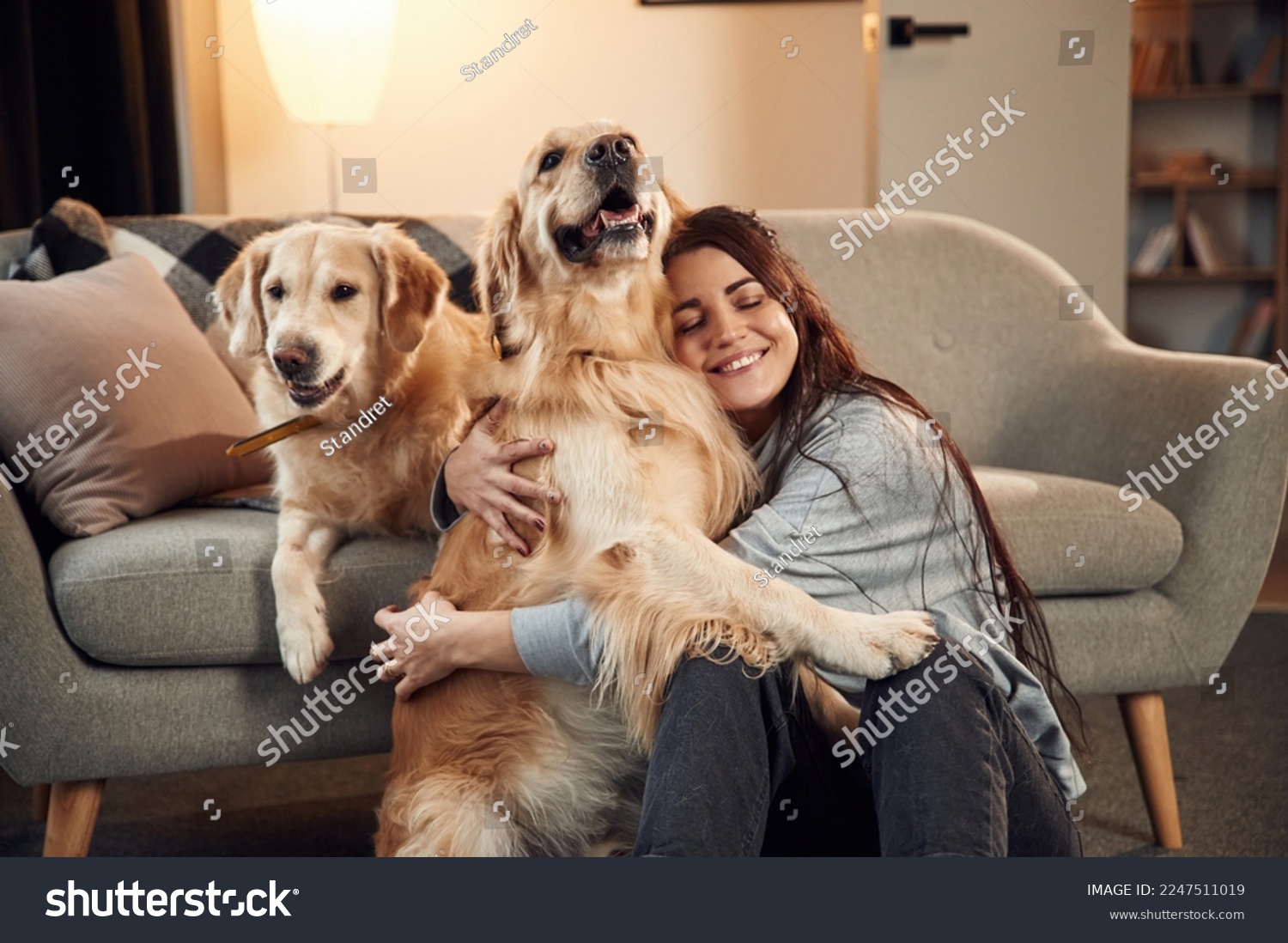 Friendly animals. Woman is with two golden retriever dogs at home. #2247511019