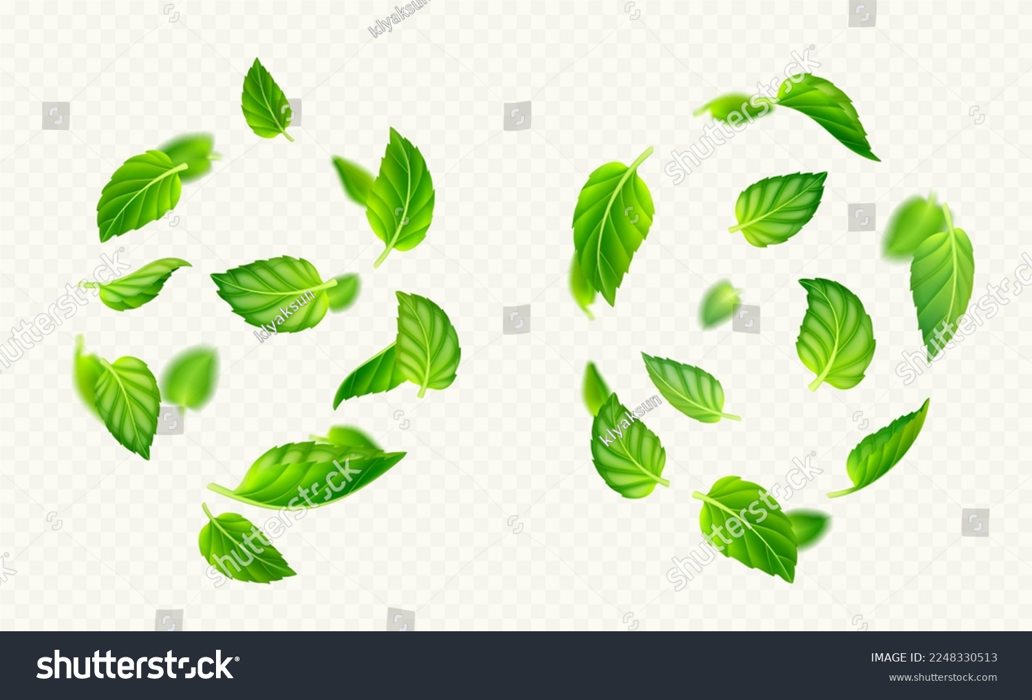 Green mint leaves falling and flying in air. Fresh summer or spring foliage of tea or peppermint, vortex of herbal leaves isolated on transparent background, vector realistic illustration #2248330513