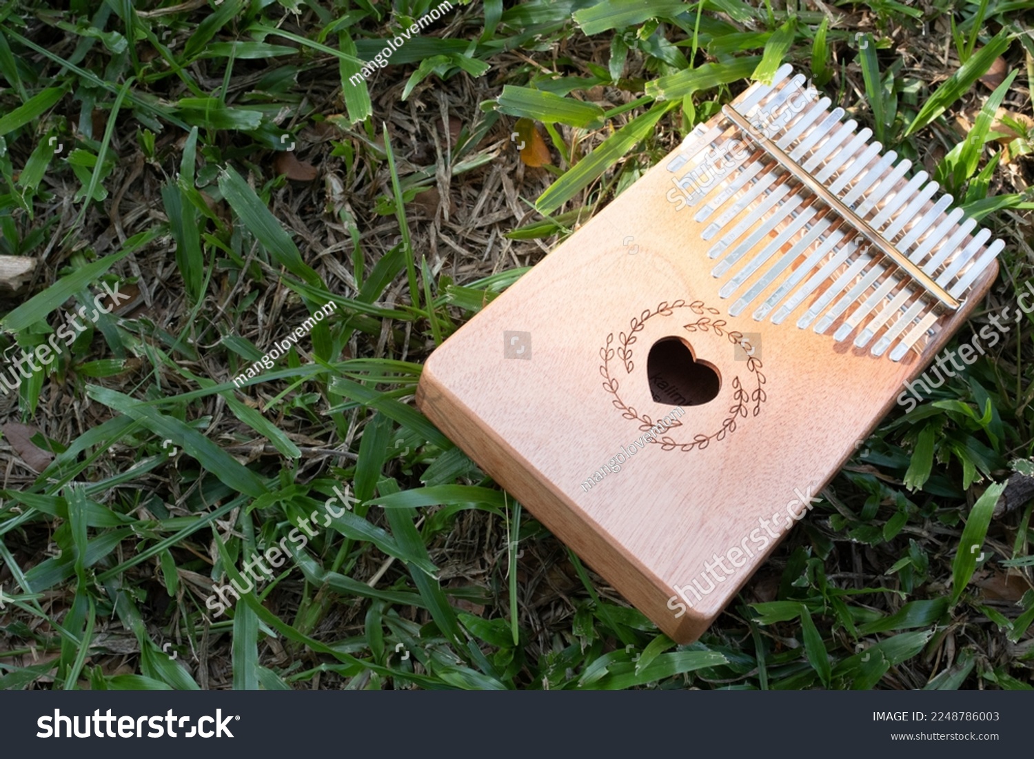 Hand playing kalimba or mbira is an African musical instrument.made from wooden board with metal Instrument in garden #2248786003