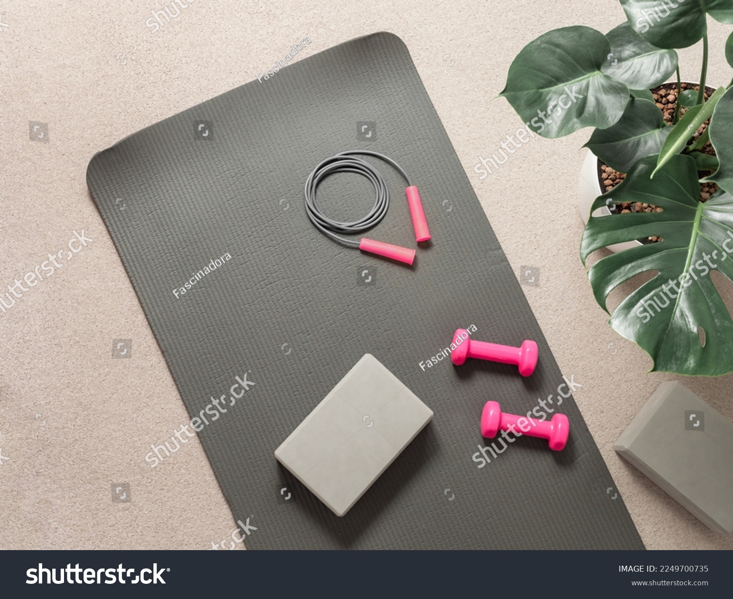 Stylish gray and pink home fitness flat lay. Top view of gray sport mat, yoga block, skipping rope and pink dumbbells on neutral carpet background, monstera plant. Set for pilates, fitness, yoga #2249700735
