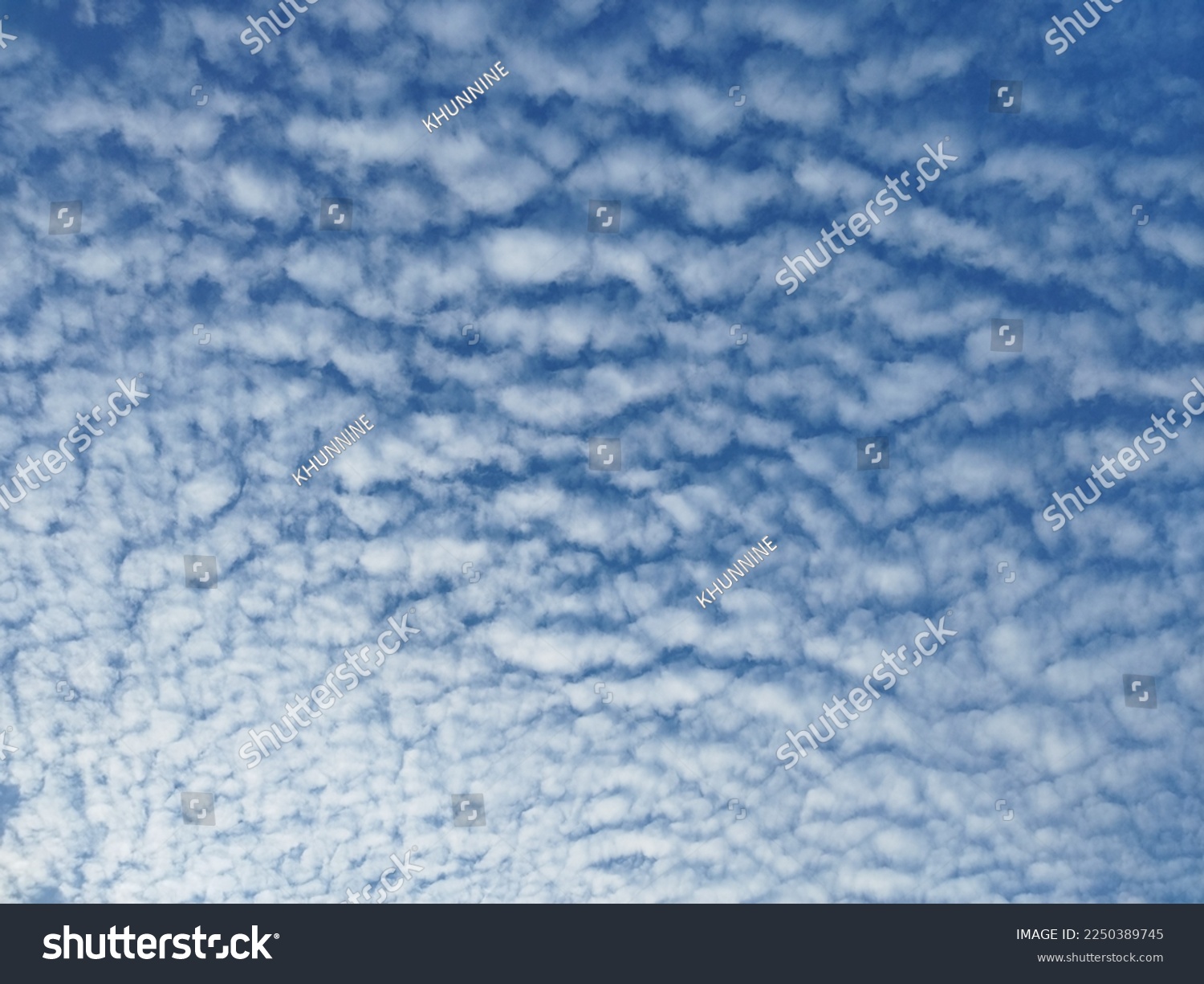 A mackerel sky is a common term for clouds made up of rows of Altocumulus rippling pattern similar in appearance to fish scales. Altocumulus floccus white fluffy clouds covering the blue sky.  #2250389745
