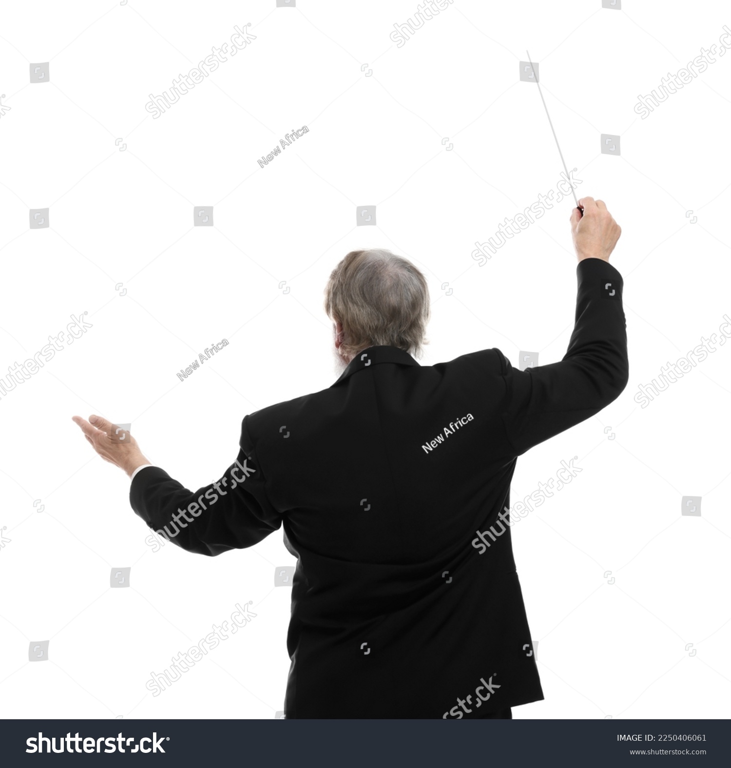 Professional conductor with baton on white background, back view #2250406061