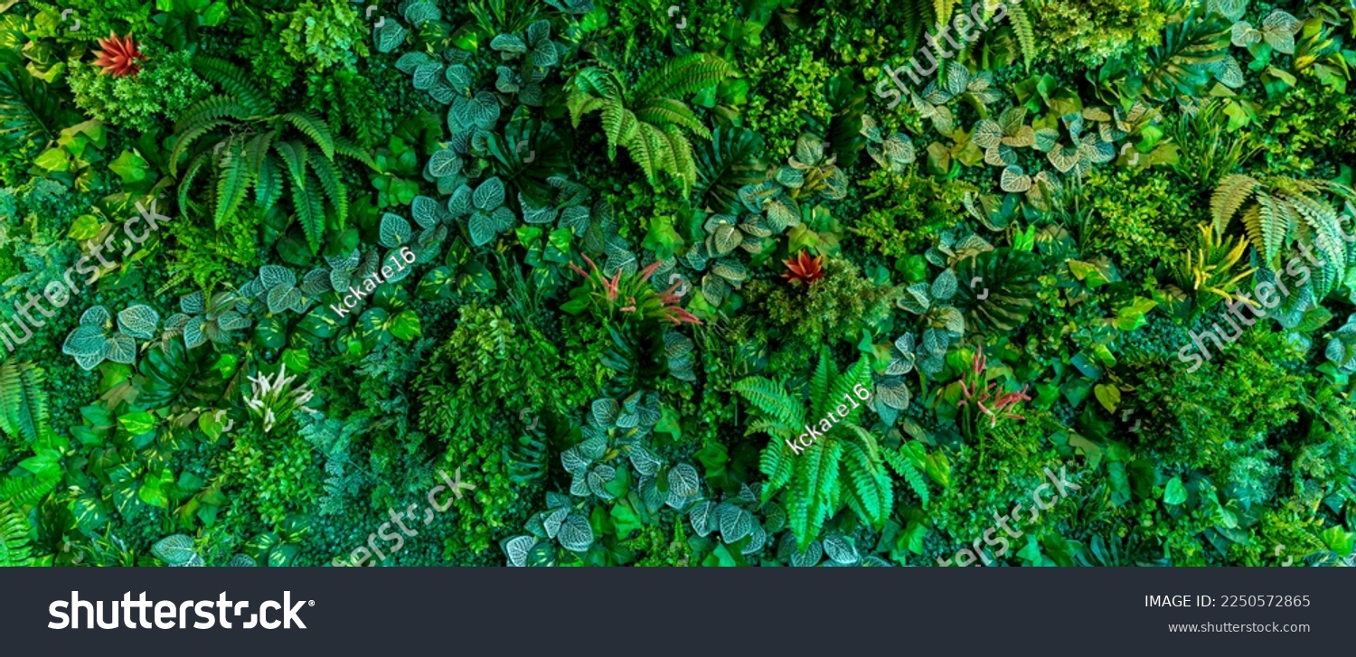 Herb wall, plant wall, natural green wallpaper and background. nature wall.  Nature background of green forest #2250572865