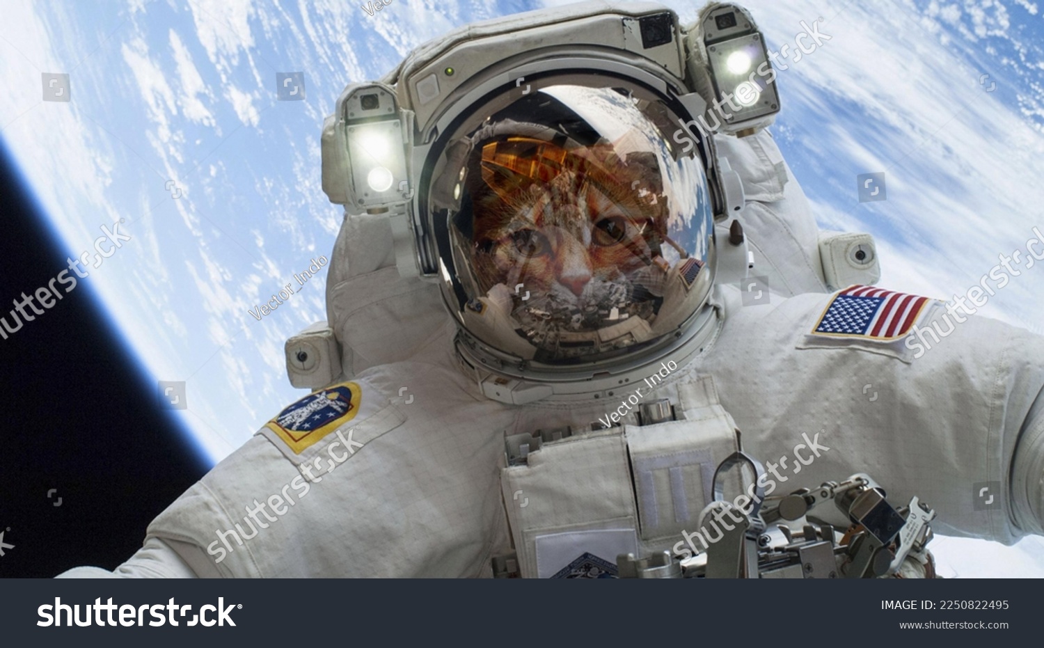 cat astronaut creative wallpaper image #2250822495