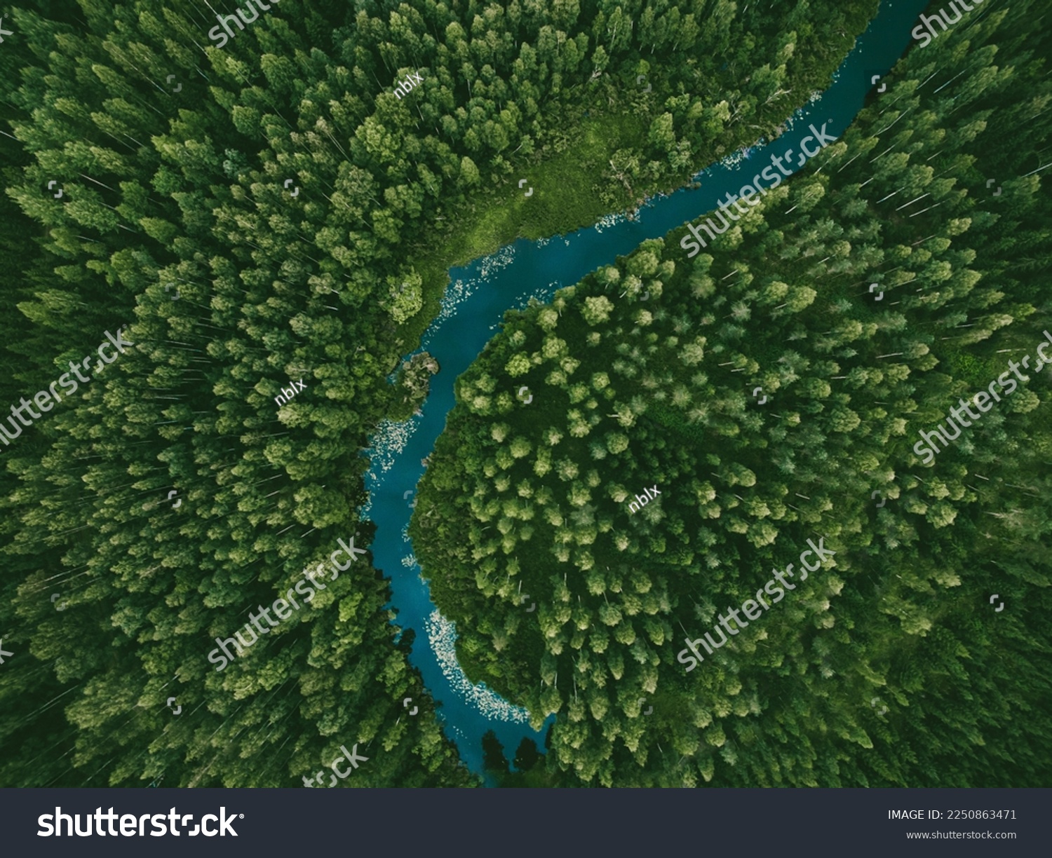 Aerial view of green grass forest with tall pine trees and blue bendy river flowing through the forest in Finland #2250863471
