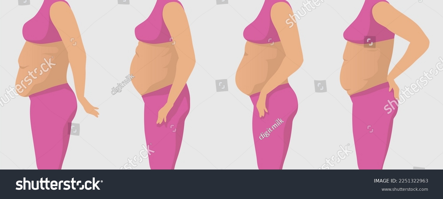 Vector illustration of fat women with different types of belly #2251322963