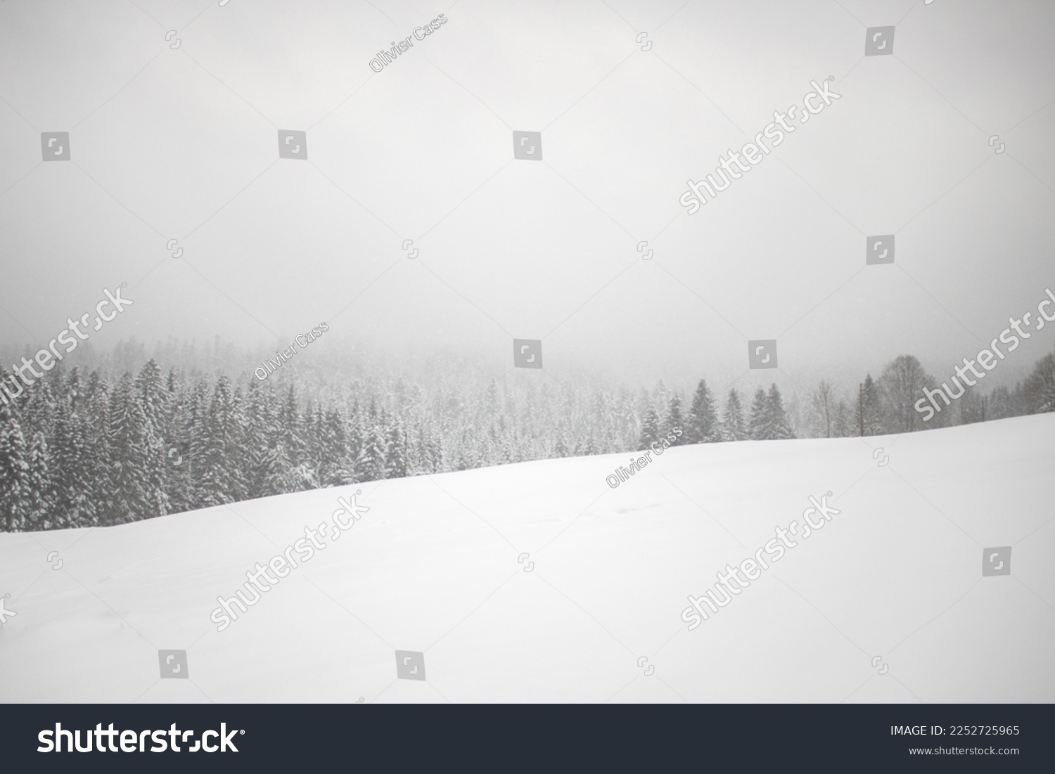 lanscape in winter in East of France #2252725965