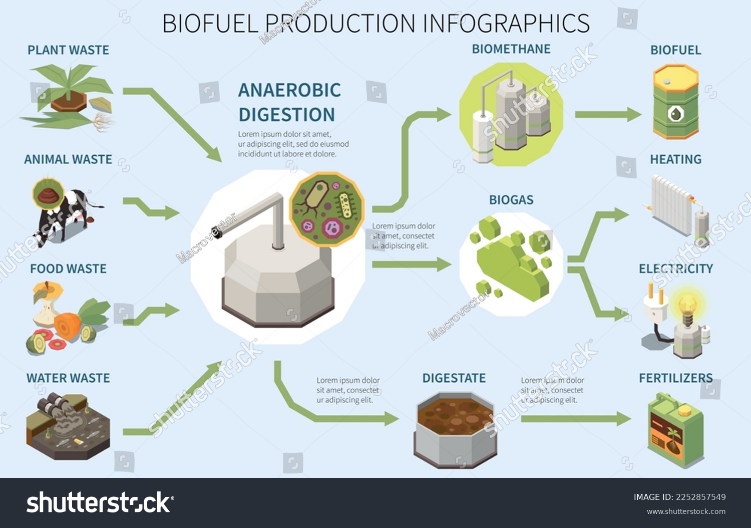 Biofuel Production Infographics Poster With Royalty Free Stock Vector