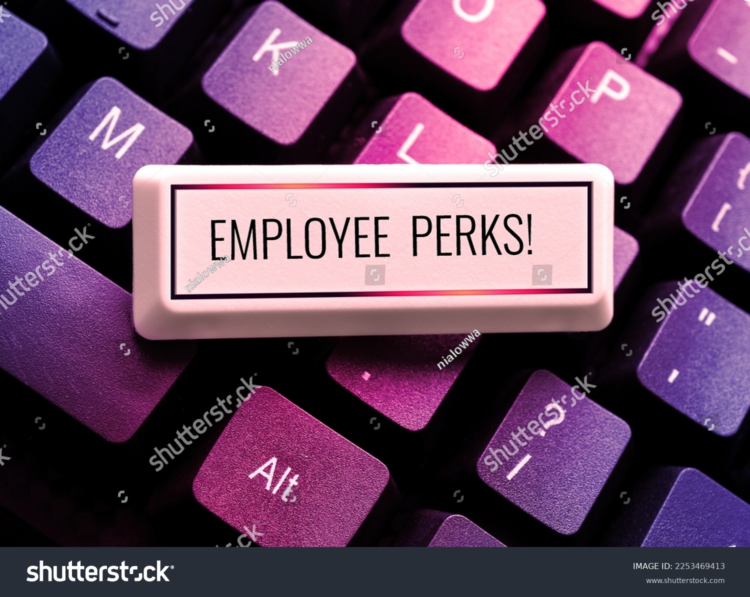 Writing displaying text Employee Perks. Concept meaning Worker Benefits Bonuses Compensation Rewards Health Insurance #2253469413