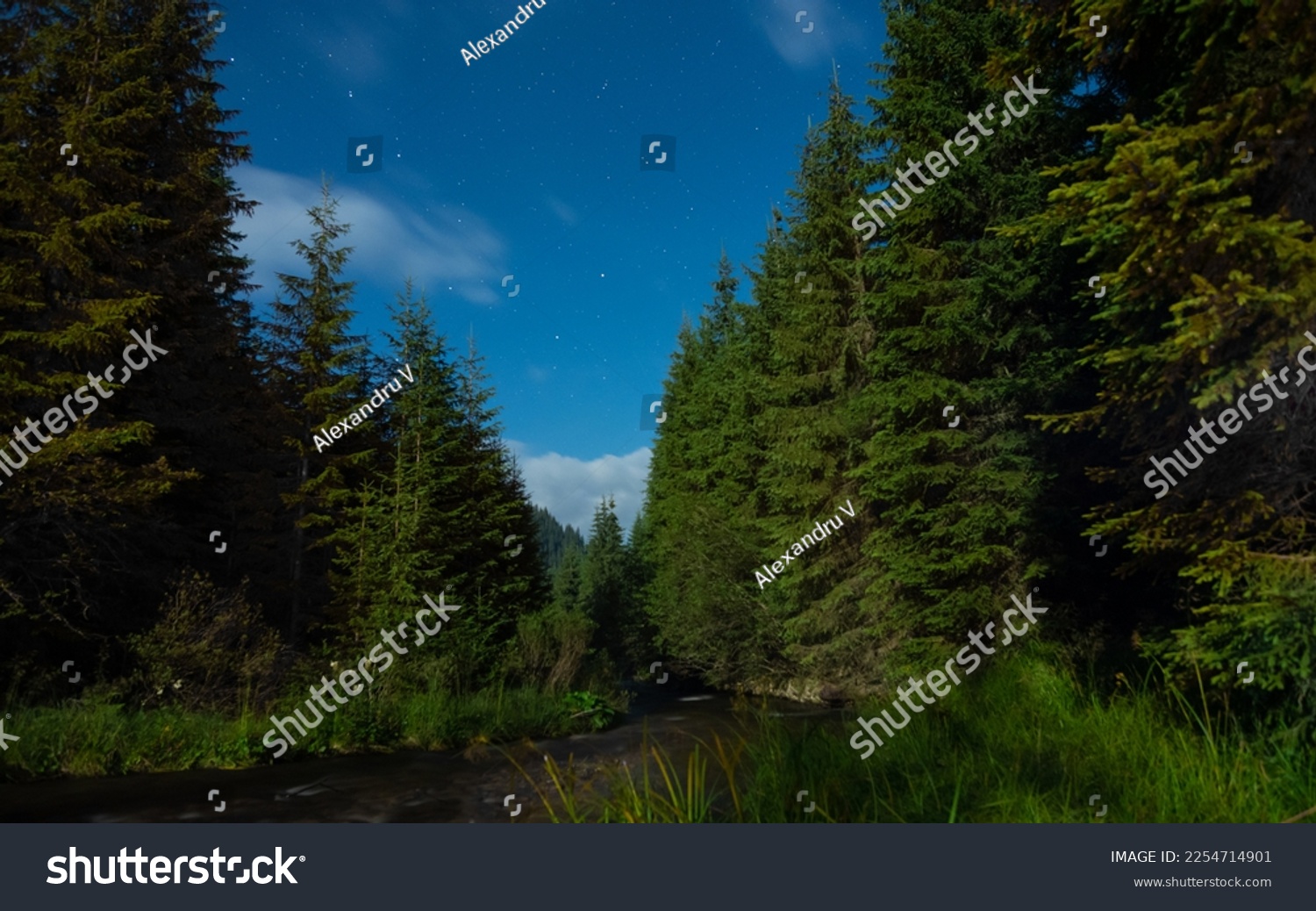 Night photo of Frumoasa river flowing downhill through an alpine grassland and coniferous forests. Clear night in Sureanu Mountains. 
 #2254714901